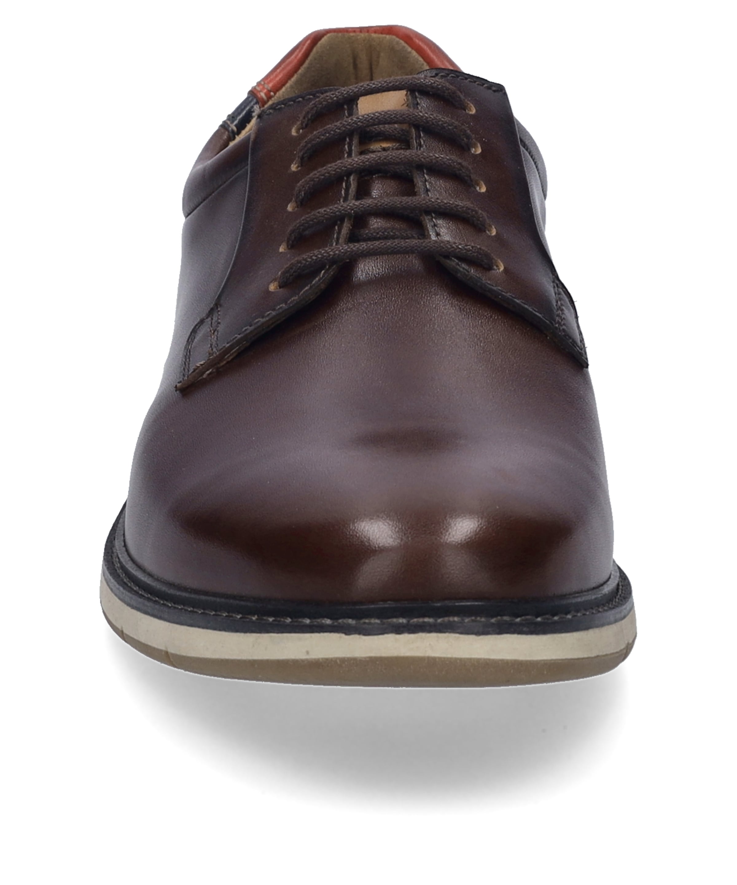 Josef Seibel Schnürschuh »Stuart 03, castagne-multi«