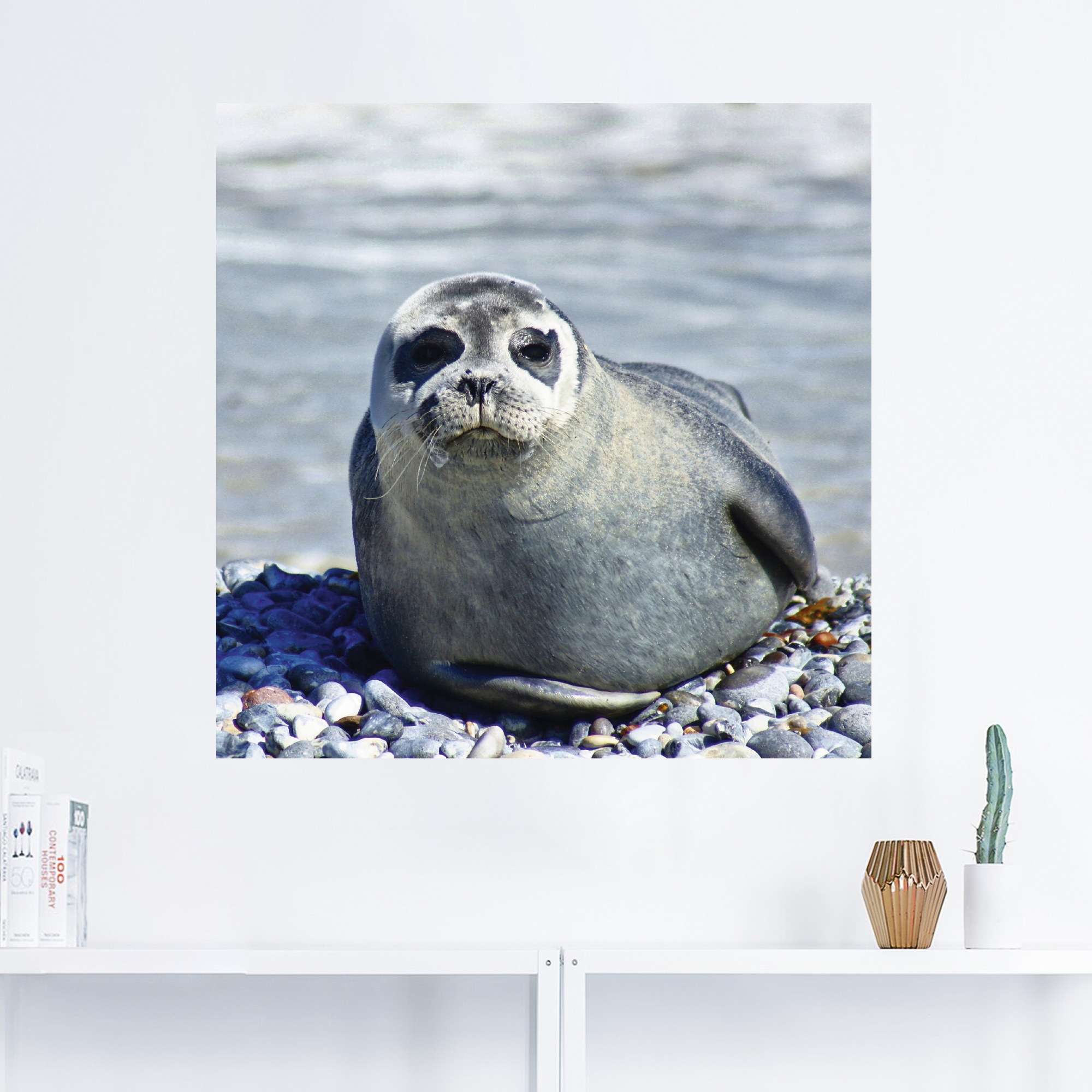 Artland Wandbild »Robbe am Strand von Helgoland«, Wassertiere, (1 St.), als  Wandaufkleber in verschied. Größen kaufen im OTTO Online Shop