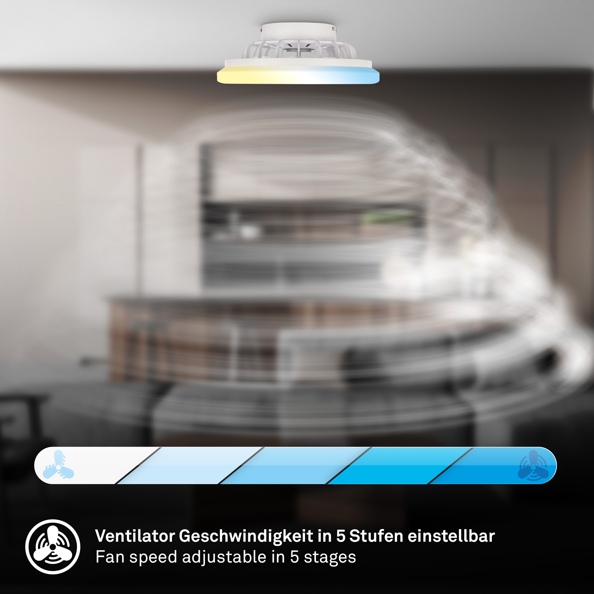 Briloner Leuchten LED Deckenleuchte »PAFO« LED-Board 1 Stk. warmweiß - kaltweiß 38 x 14 cm (DxH), Schlafzimmer, Wohnzimmer, Esszimmer, Flur, Küche