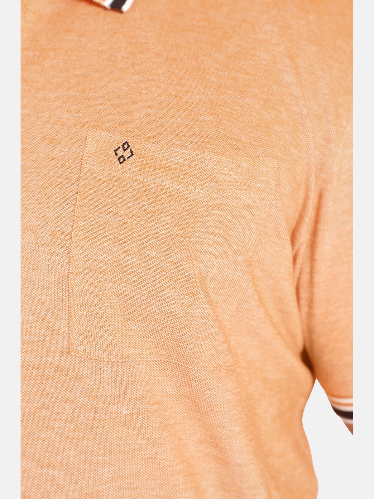 Charles Colby Poloshirt »Poloshirt EARL LANDON«