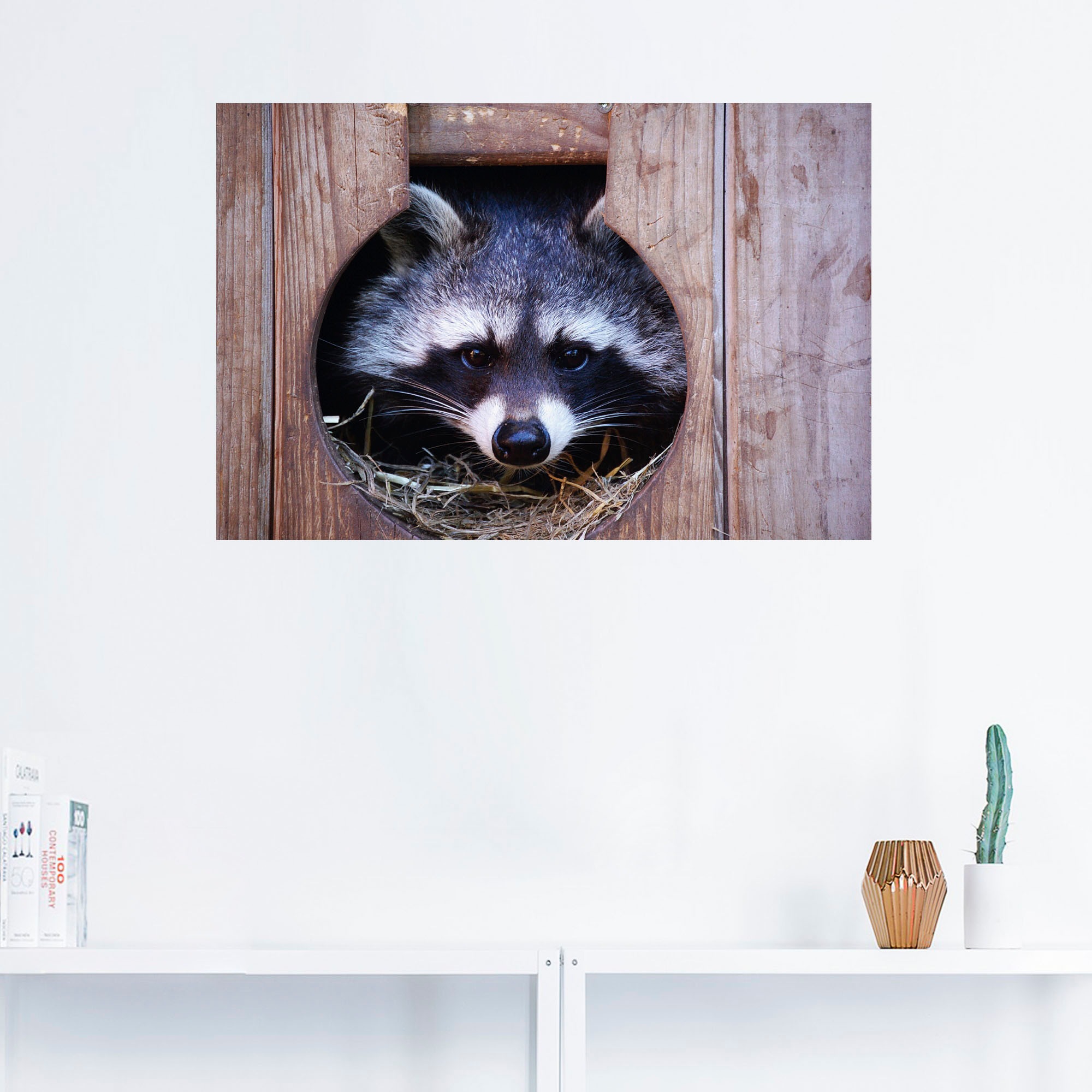 Artland Wandbild »Niedlicher kleiner Waschbär«, Wildtiere, (1 St.), als Leinwandbild, Wandaufkleber in verschied. Größen