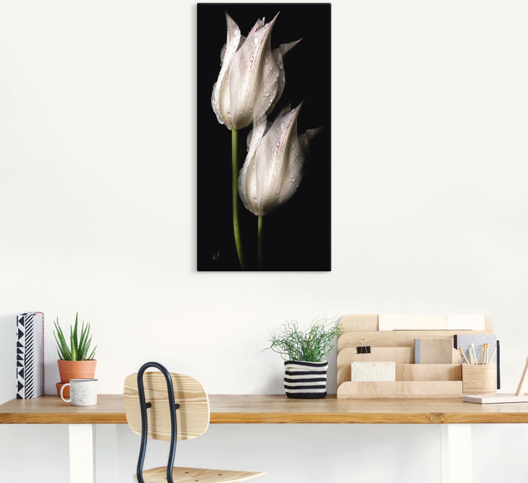 Artland Wandbild »Weiße Tulpen in der Nacht«, Blumenbilder, (1 St.), als Alubild, Outdoorbild, Leinwandbild, Poster, Wandaufkleber