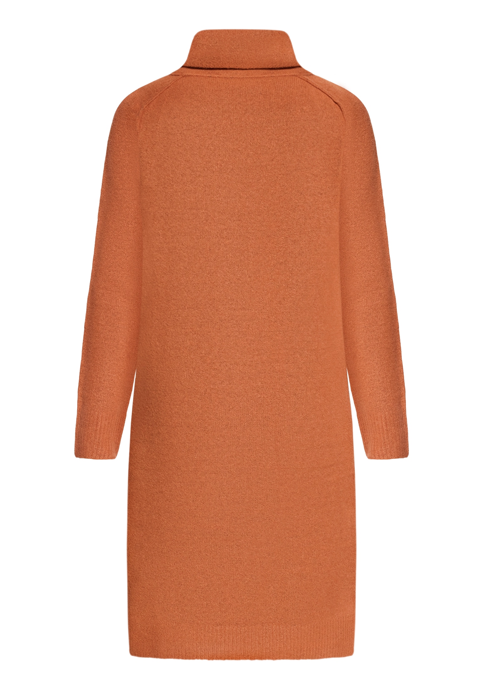 Cartoon Strickkleid »Strickkleid mit Turtle Neck«