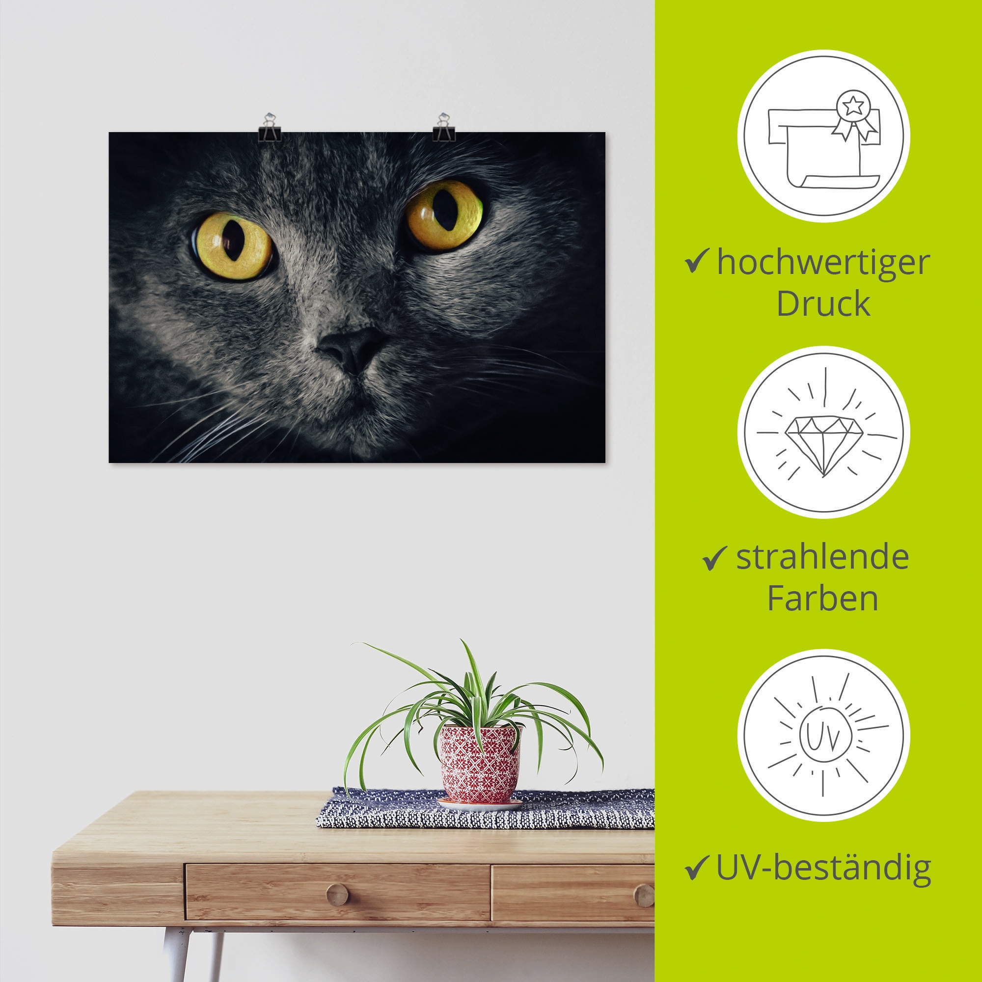 Artland Wandbild »Katzenaugen«, Haustiere, (1 St.), als Alubild, Outdoorbild, Leinwandbild, Poster in verschied. Größen