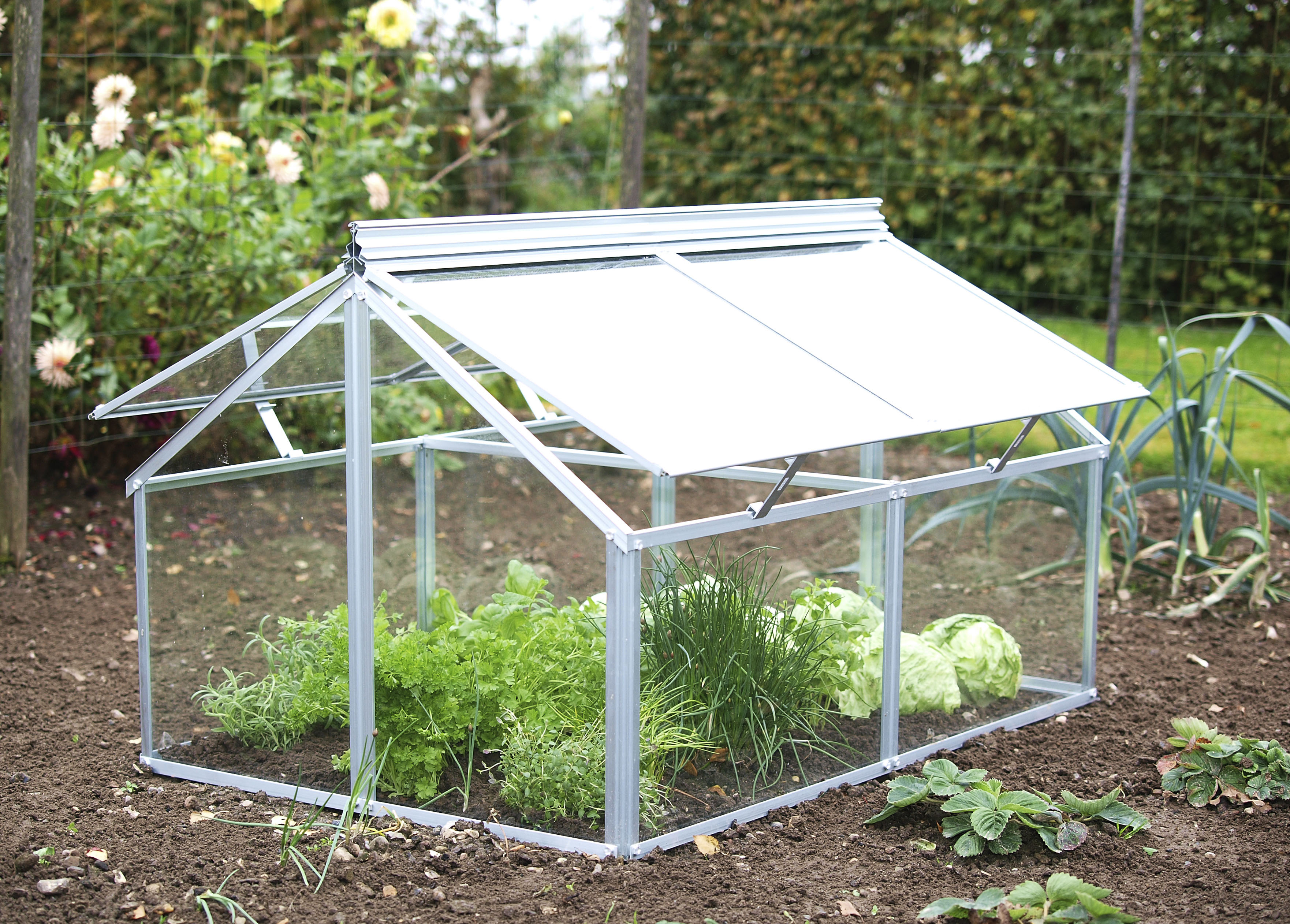 Frühbeet »Gaia Jumbo«, BxTxH: 83x119x72 cm, ESG