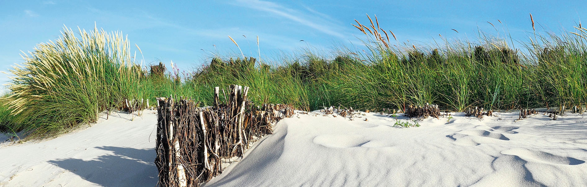 Express Küchen Küchenrückwand »Strand«, (1 tlg.)
