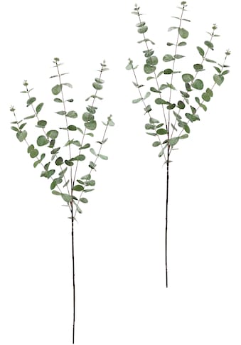 Winterliche Kunstpflanze »Kunstzweig, Eukalyptuszweig, Weihnachtsdeko,«
