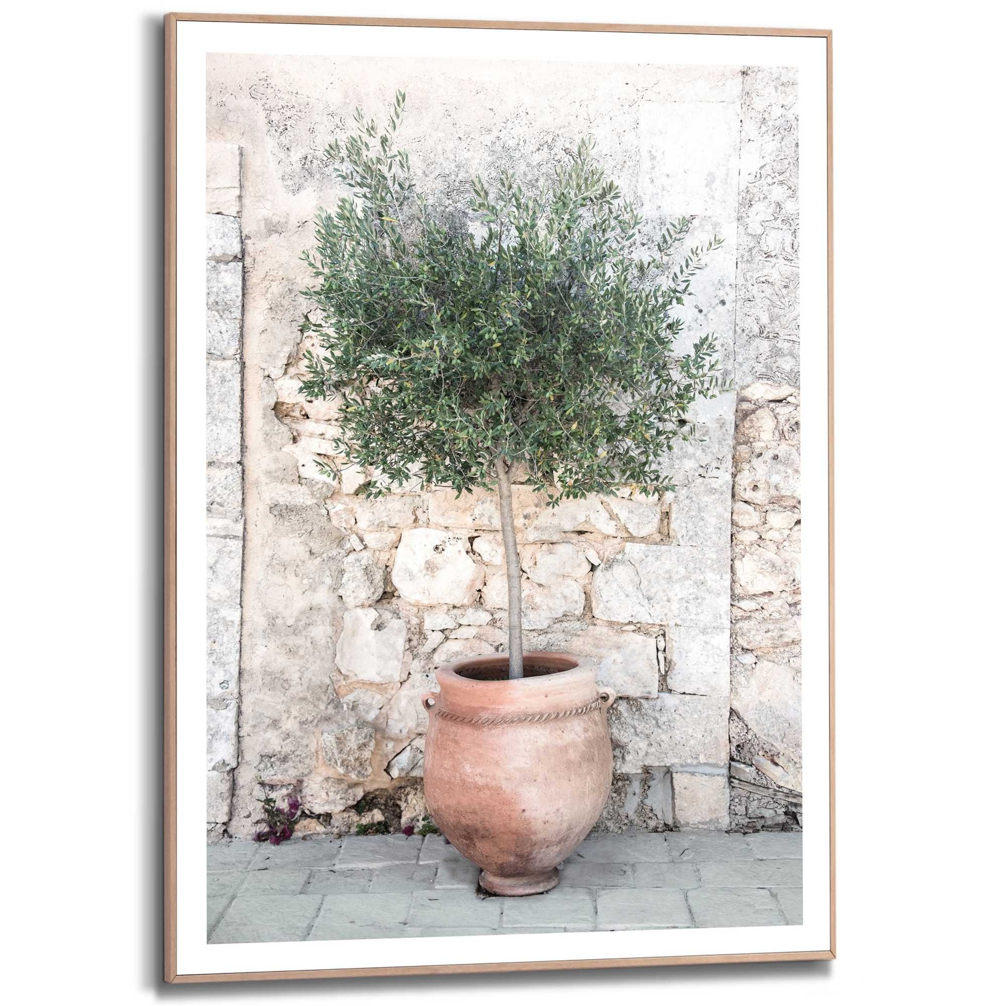 Reinders! Bild mit Rahmen »Olive Tree«