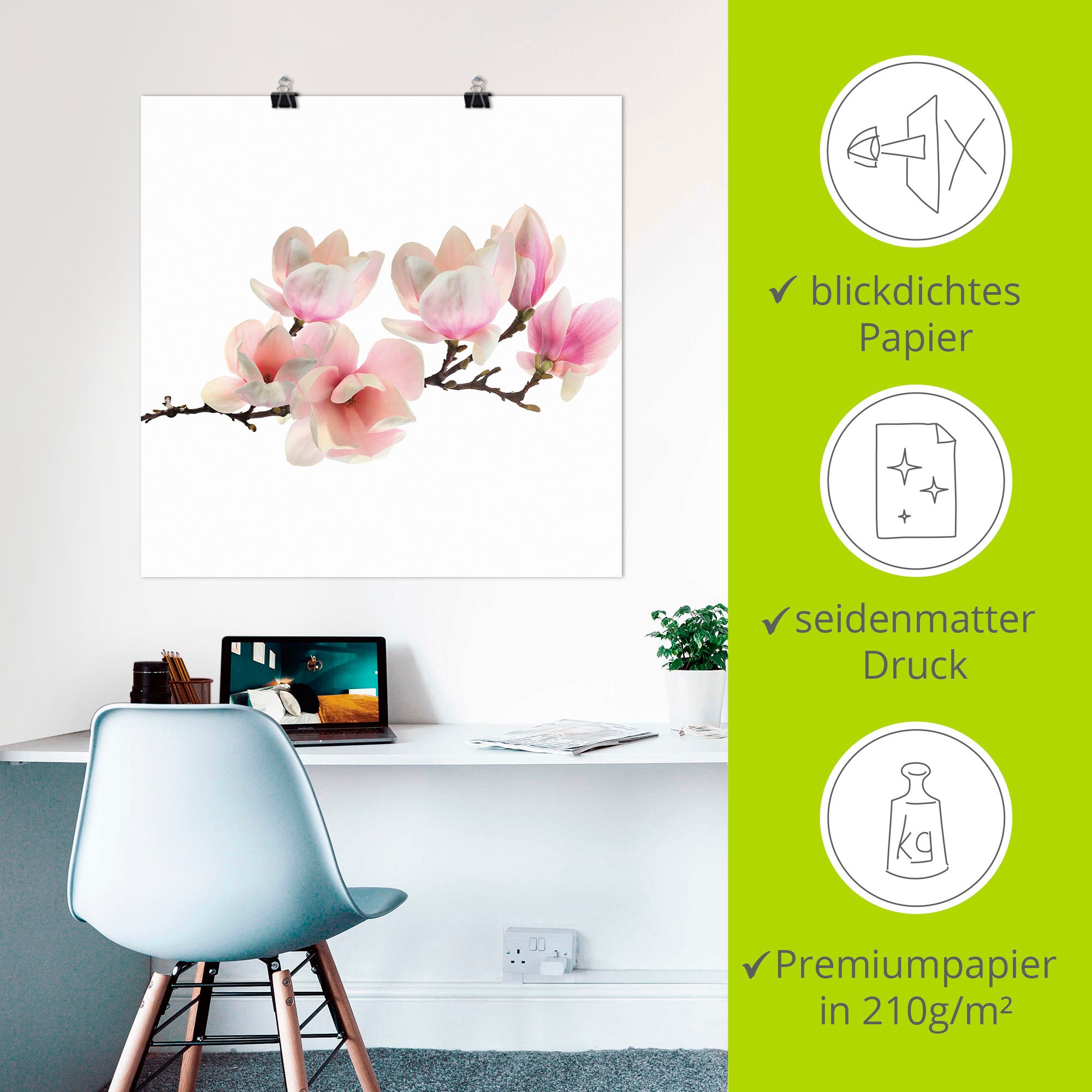 Artland Wandbild »Magnolie«, Blumen, (1 St.), als Leinwandbild, Poster, Wandaufkleber in verschied. Größen
