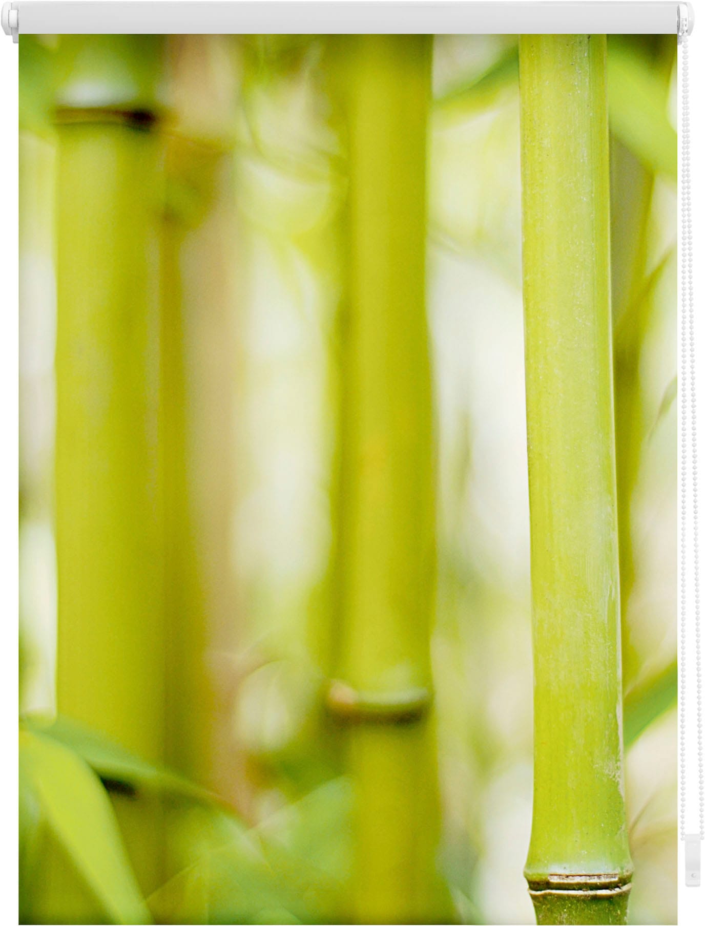 LICHTBLICK ORIGINAL Seitenzugrollo »Klemmfix Motiv Bambus«, Lichtschutz, ohne  Bohren, freihängend, bedruckt online kaufen bei OTTO