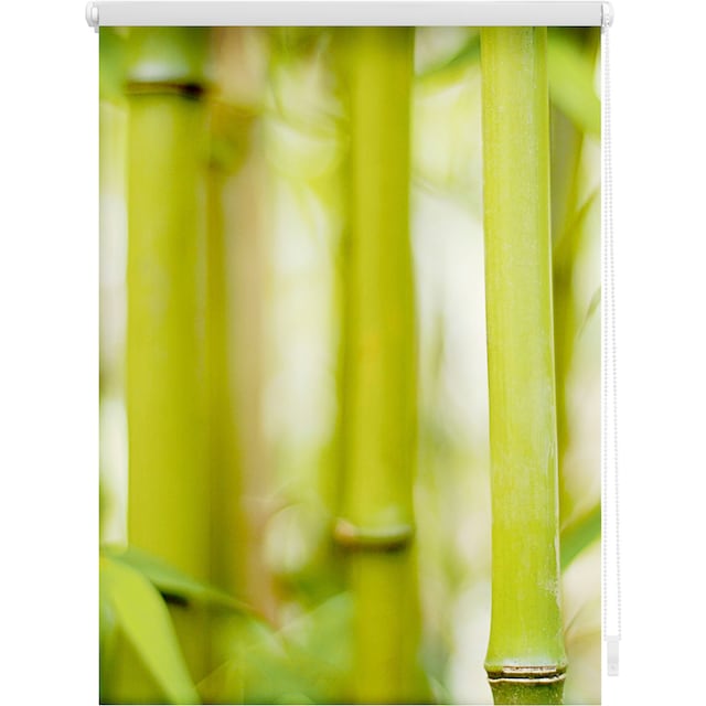 Bambus«, LICHTBLICK Bohren, kaufen »Klemmfix ORIGINAL Lichtschutz, online OTTO ohne freihängend, bei Seitenzugrollo Motiv bedruckt