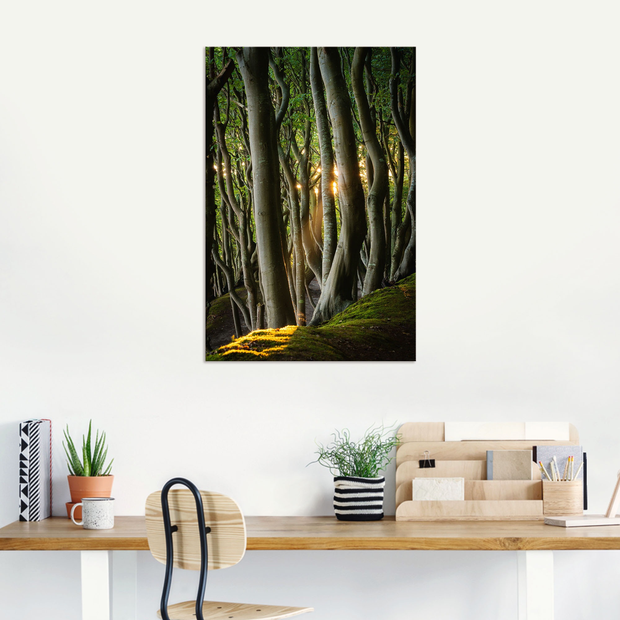 Artland Wandbild »Licht im Märchenwald«, Waldbilder, (1 St.), als Alubild, Leinwandbild, Wandaufkleber oder Poster in versch. Größen