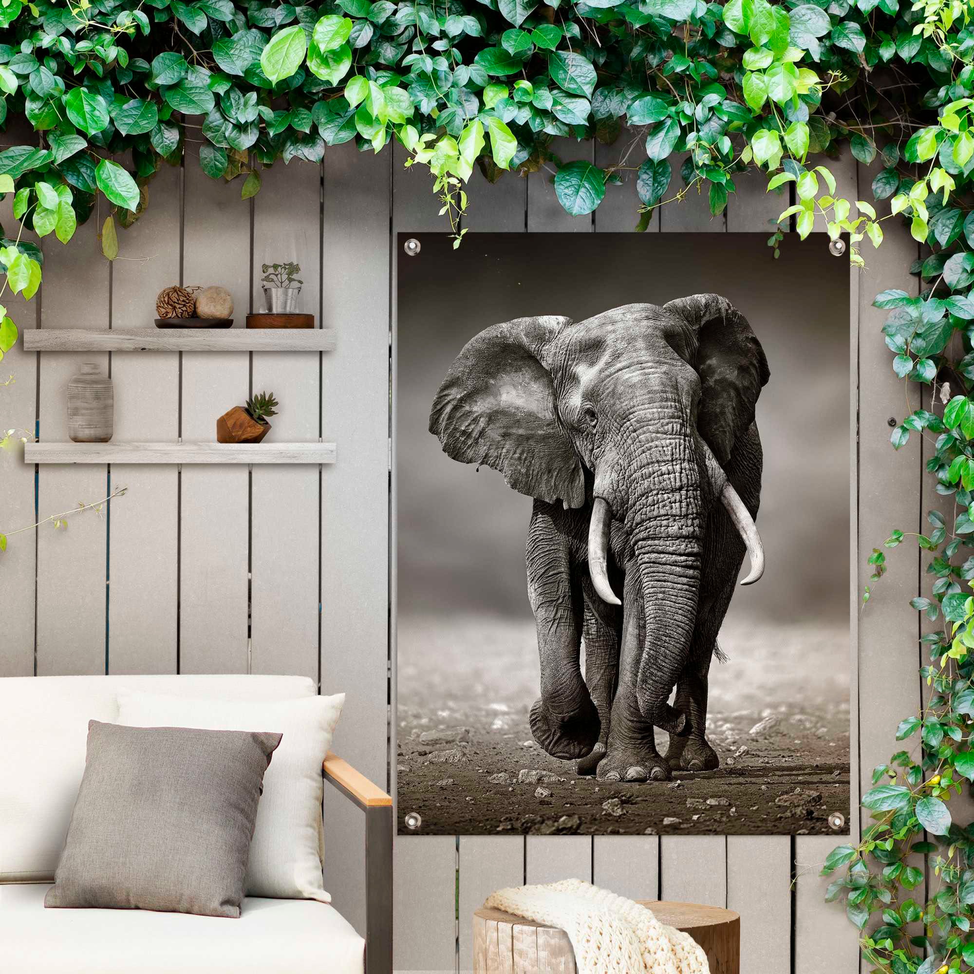 Reinders! Poster »Elefant«