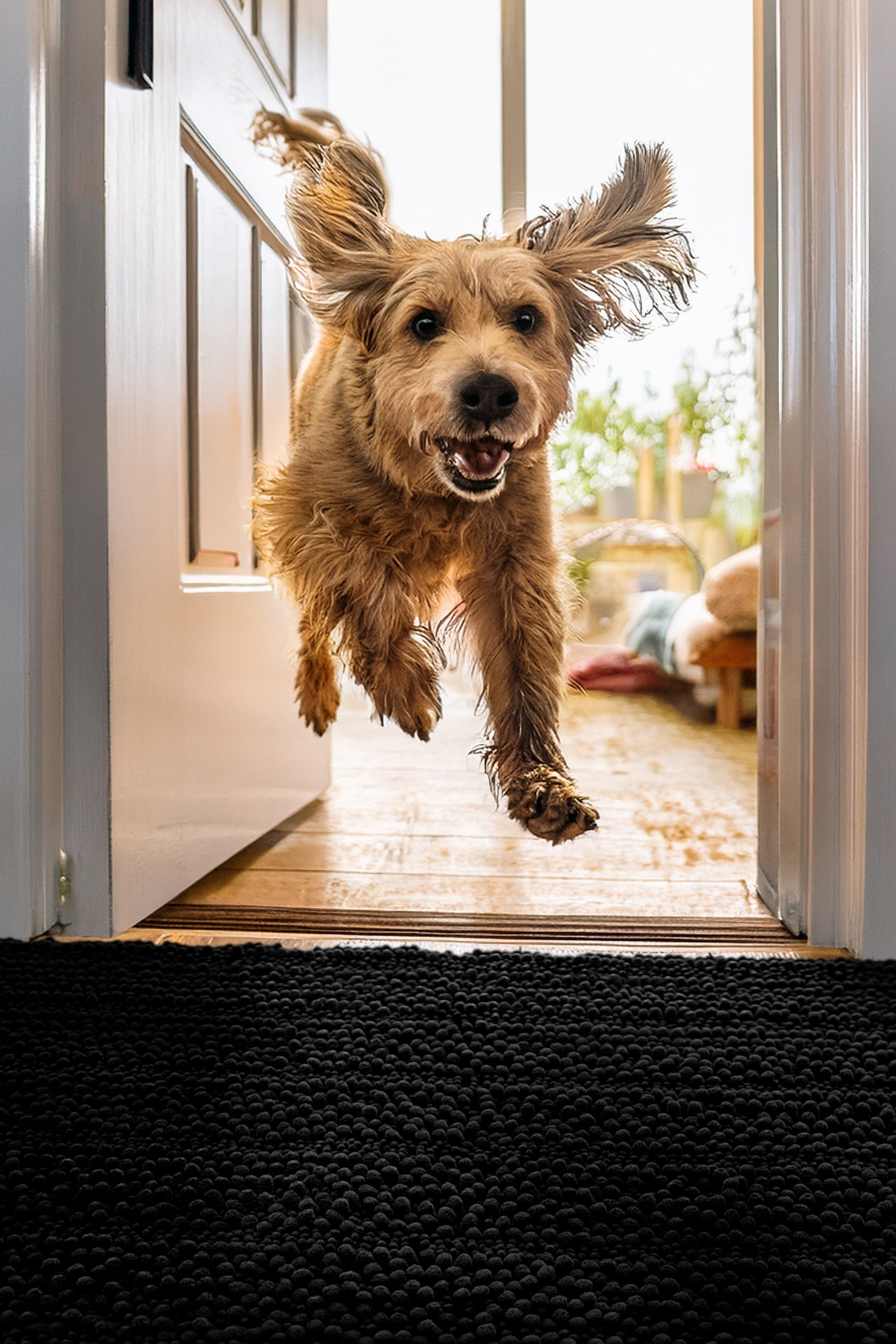 Wecon home Teppich »Cooper« rechteckig 22 mm Höhe Haustierteppich, rutschfest, waschbar, weicher Chenille Teppich