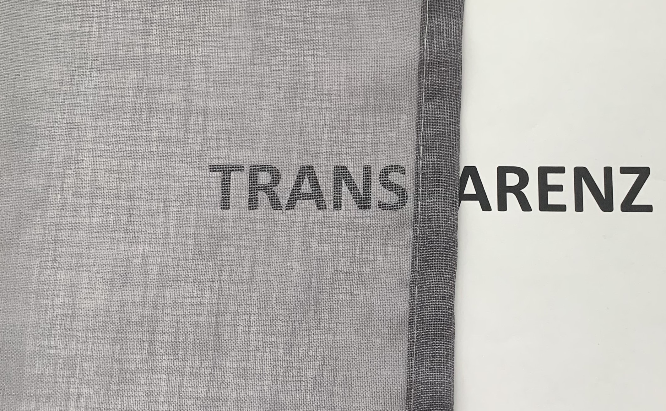 HOME WOHNIDEEN Gardine »DOLLY« Ösen 1 Stk. tlg. transparent