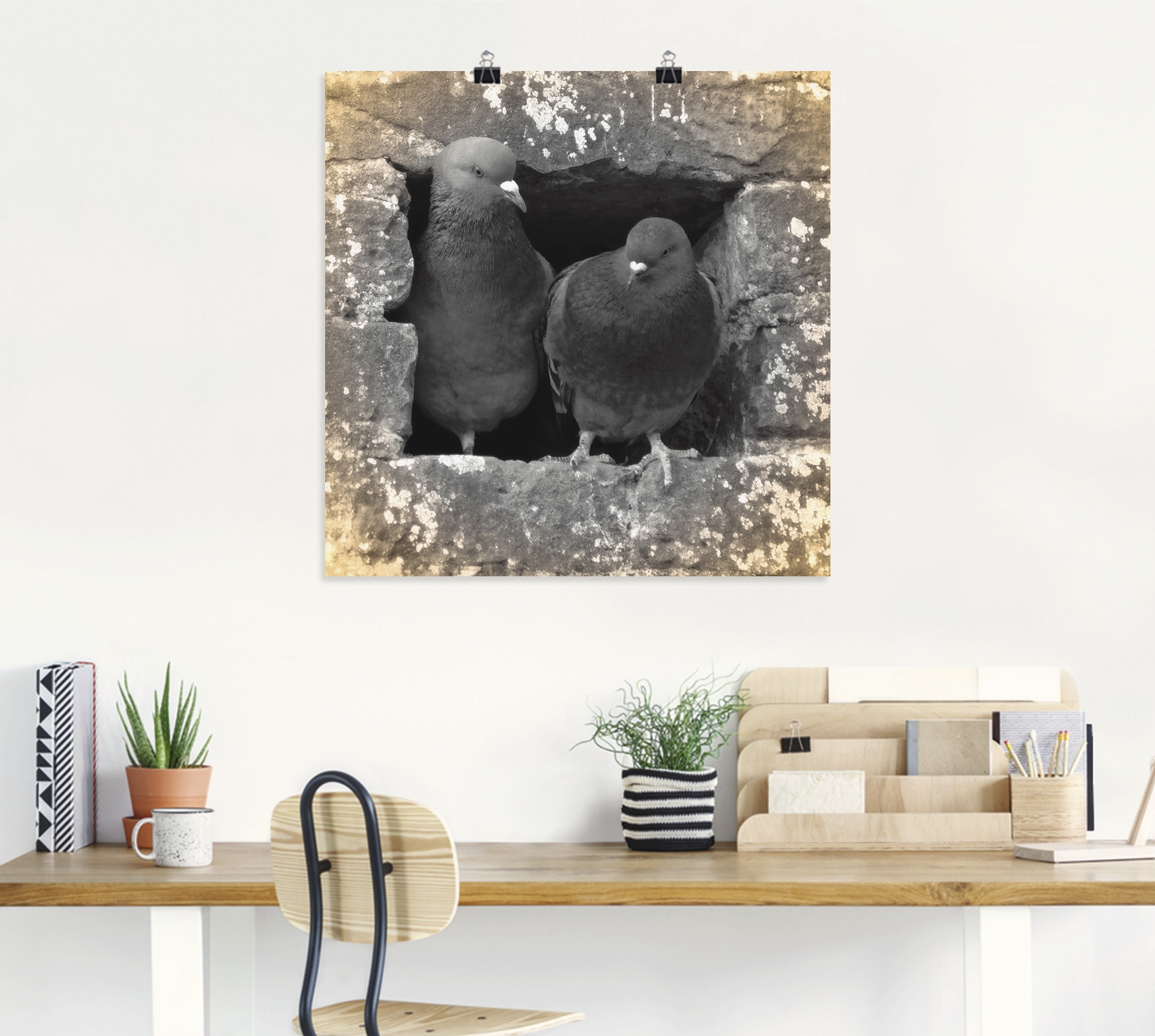 Artland Wandbild »Tauben Liebe« Vögel 1 Stk. tlg. als Alubild, Outdoorbild, Leinwandbild, Poster in verschied. Größen