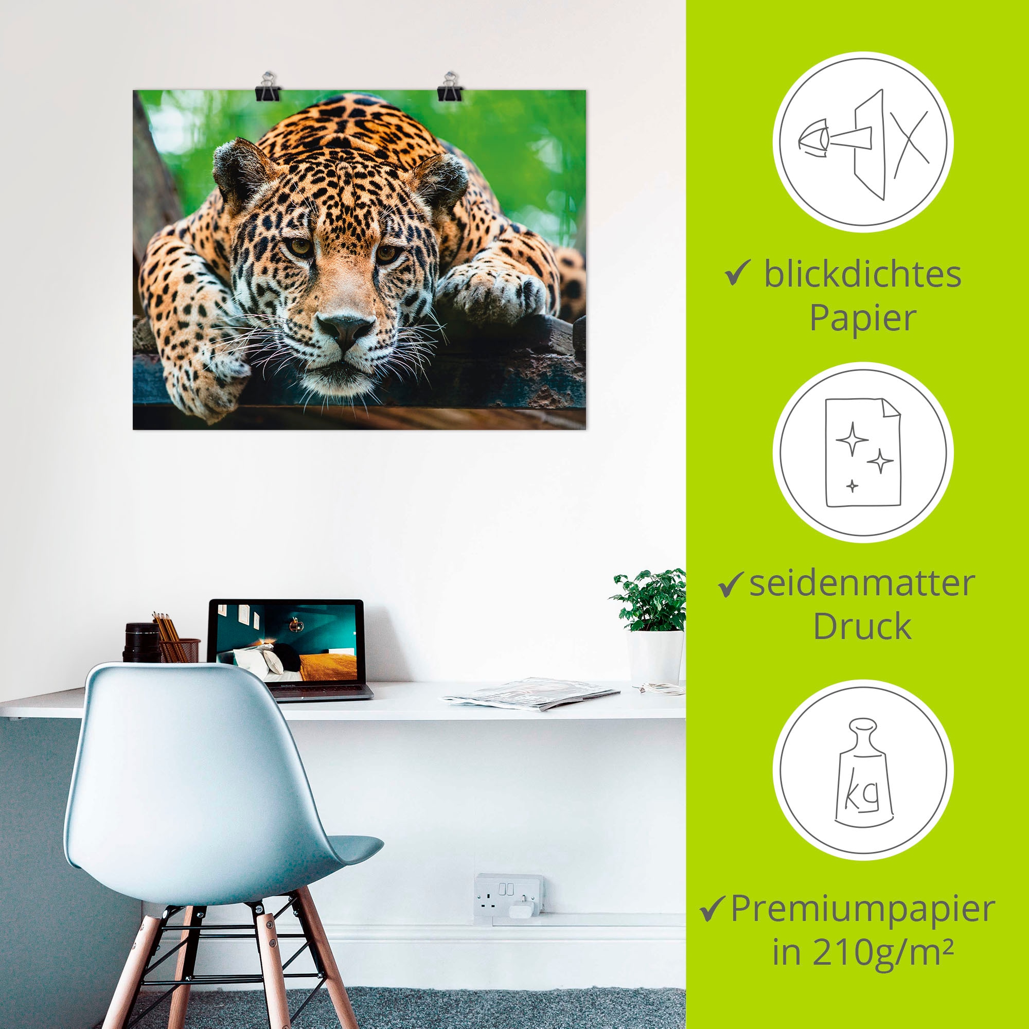 Artland Wandbild »Südamerikanischer Jaguar«, Wildtiere, (1 St.), als Alubild, Outdoorbild, Leinwandbild, Poster, Wandaufkleber