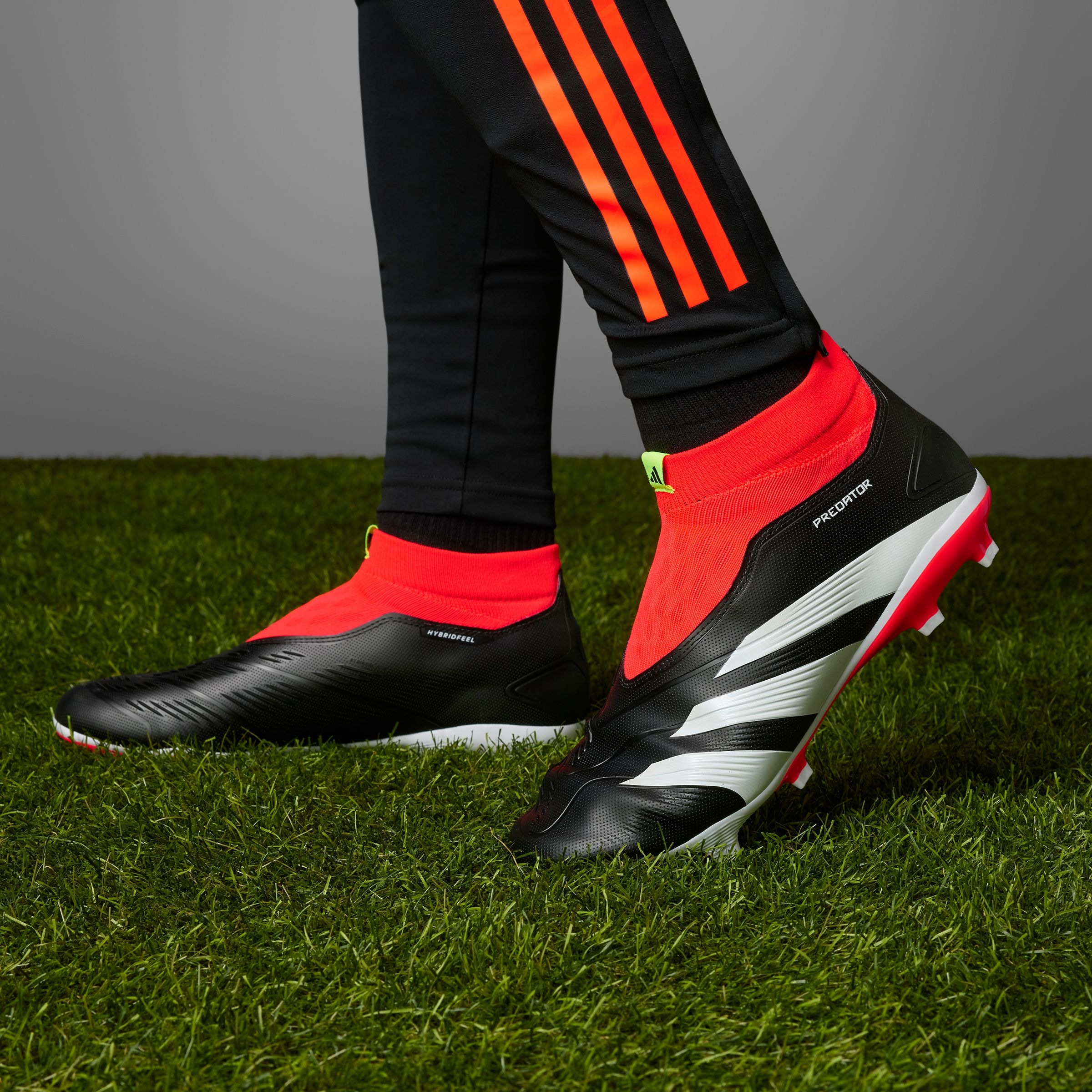 adidas Performance Fußballschuh »PREDATOR LEAGUE LACELESS FG«, für Rasenplätze