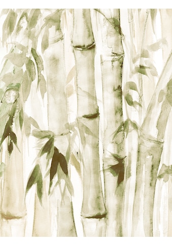 Komar Poster »Wild Bamboo«, (1 St.) kaufen