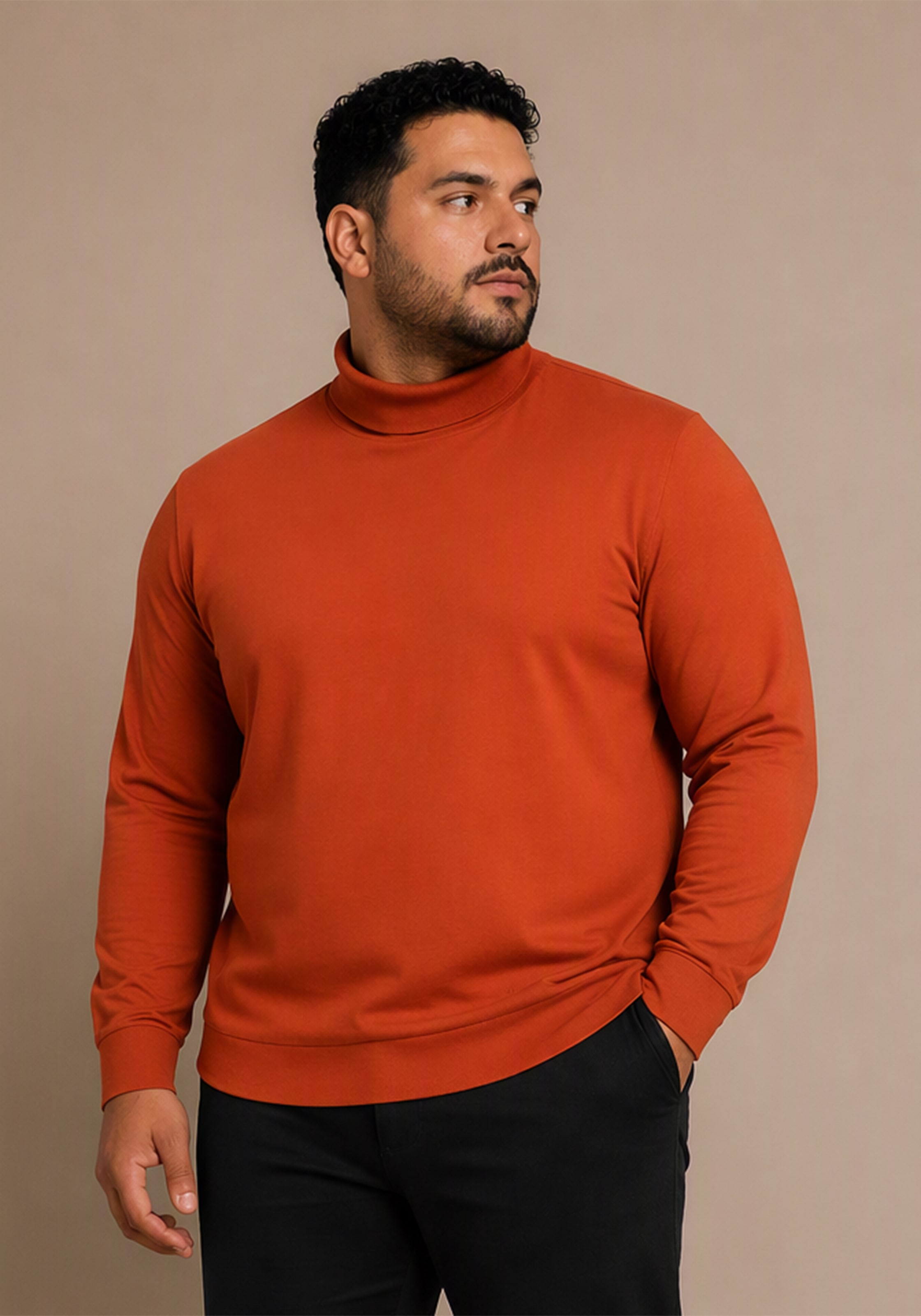 Man's World Plus Rollkragenshirt »auch in Grosse Größen bis Gr. 7XL Bauch-Fit« Regular Fit, Langarm, unifarbenes Basic-Stil