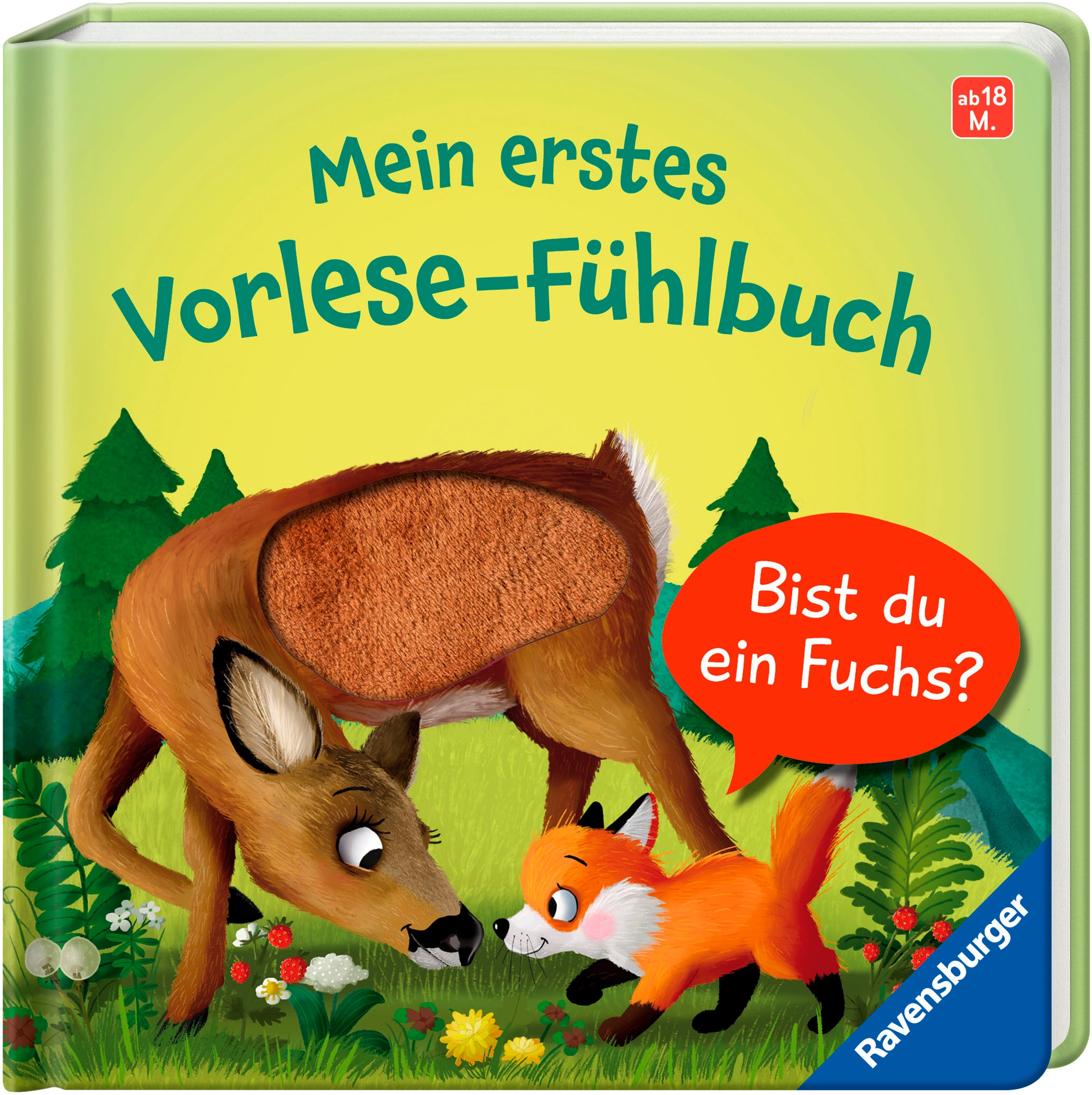 Ravensburger Buch »Pappbilderbuch, Mein erstes Vorlese-Fühlbuch: Bist du ein Fuchs?«