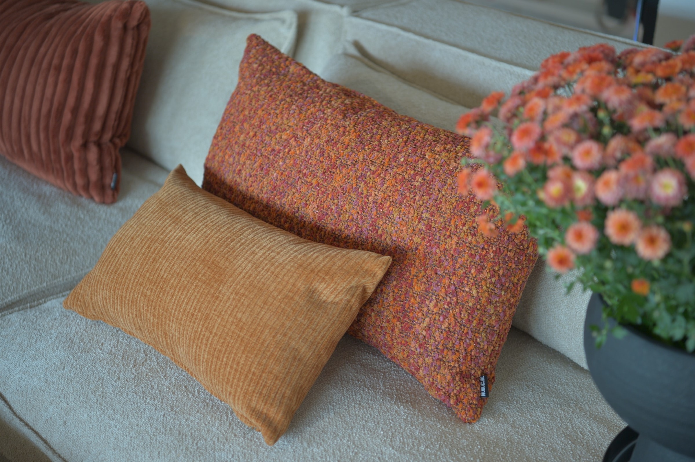 H.O.C.K. Dekokissen »Becci« Sofakissen inkl. Füllung, 70x40cm, Dekokissen, Bouclé