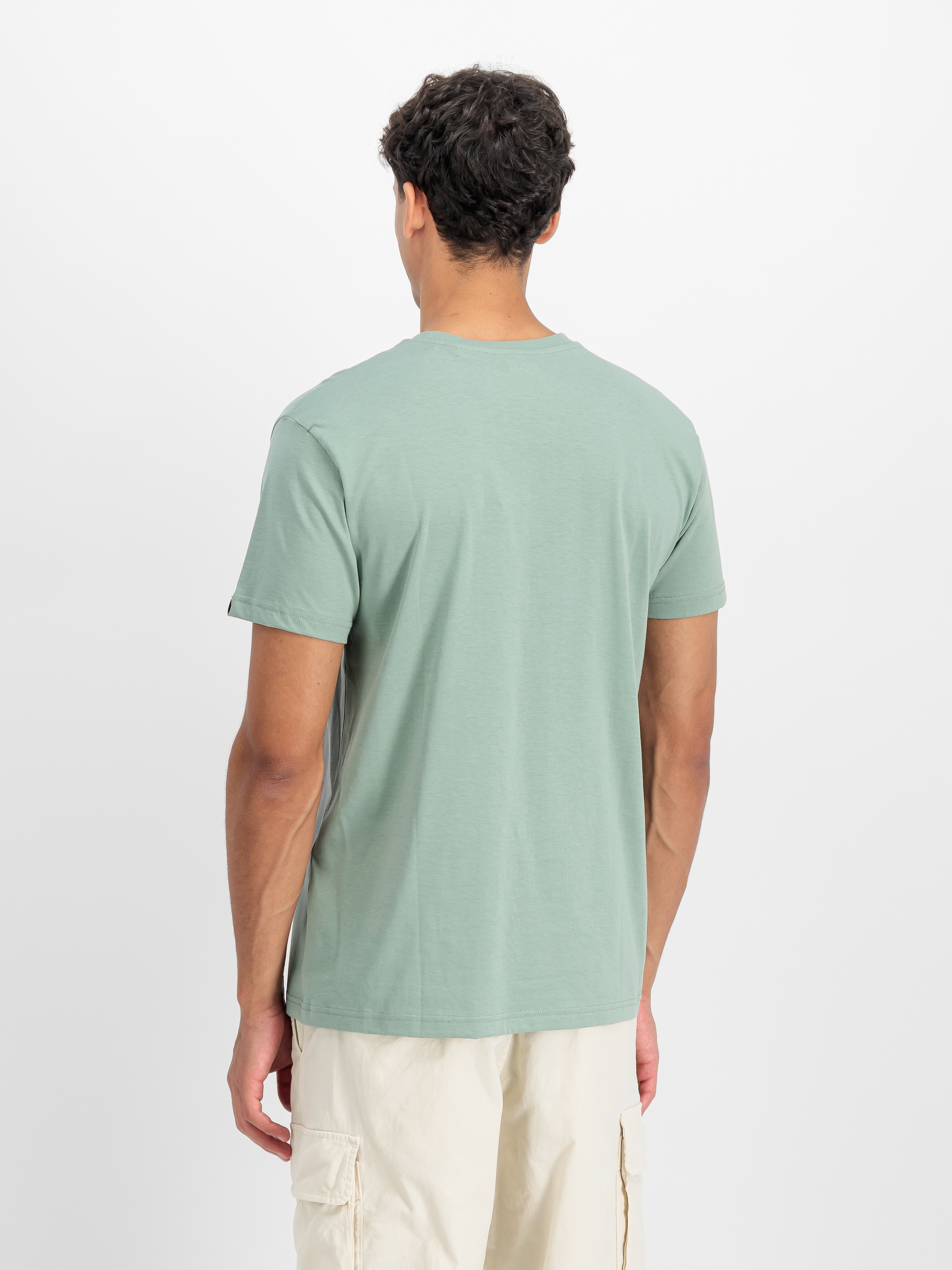 Alpha Industries Rundhalsshirt »BASIC T SMALL LOGO« Baumwolle, regular fit