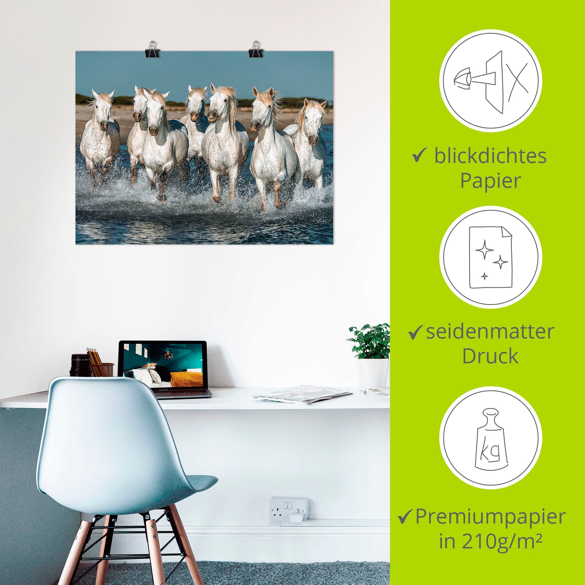 Artland Wandbild »Camargue Pferde galoppieren am Strand«, Haustiere, (1 St.), als Alubild, Outdoorbild, Leinwandbild, Poster, Wandaufkleber