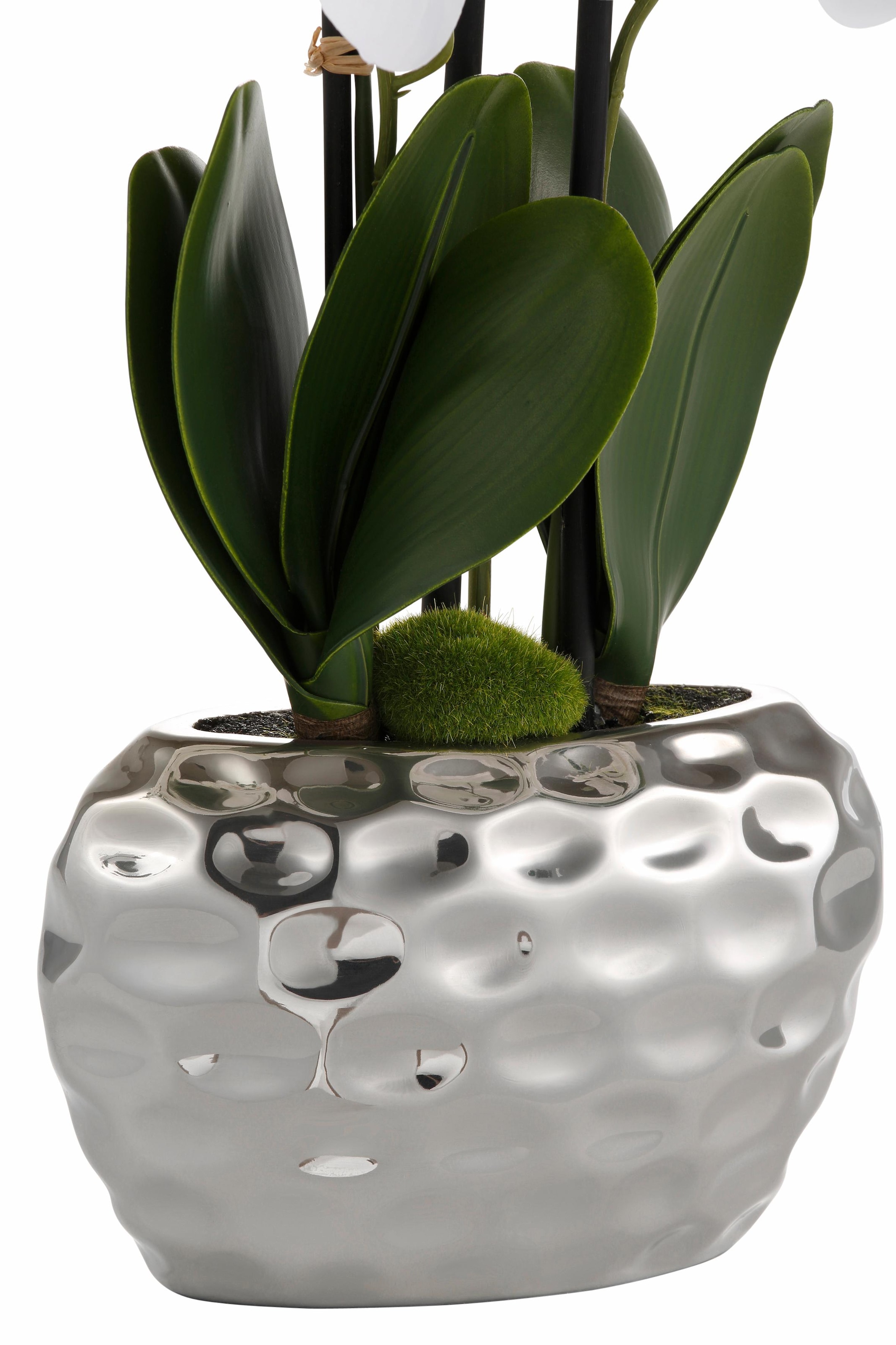 Creativ green Kunstpflanze »Orchidee«