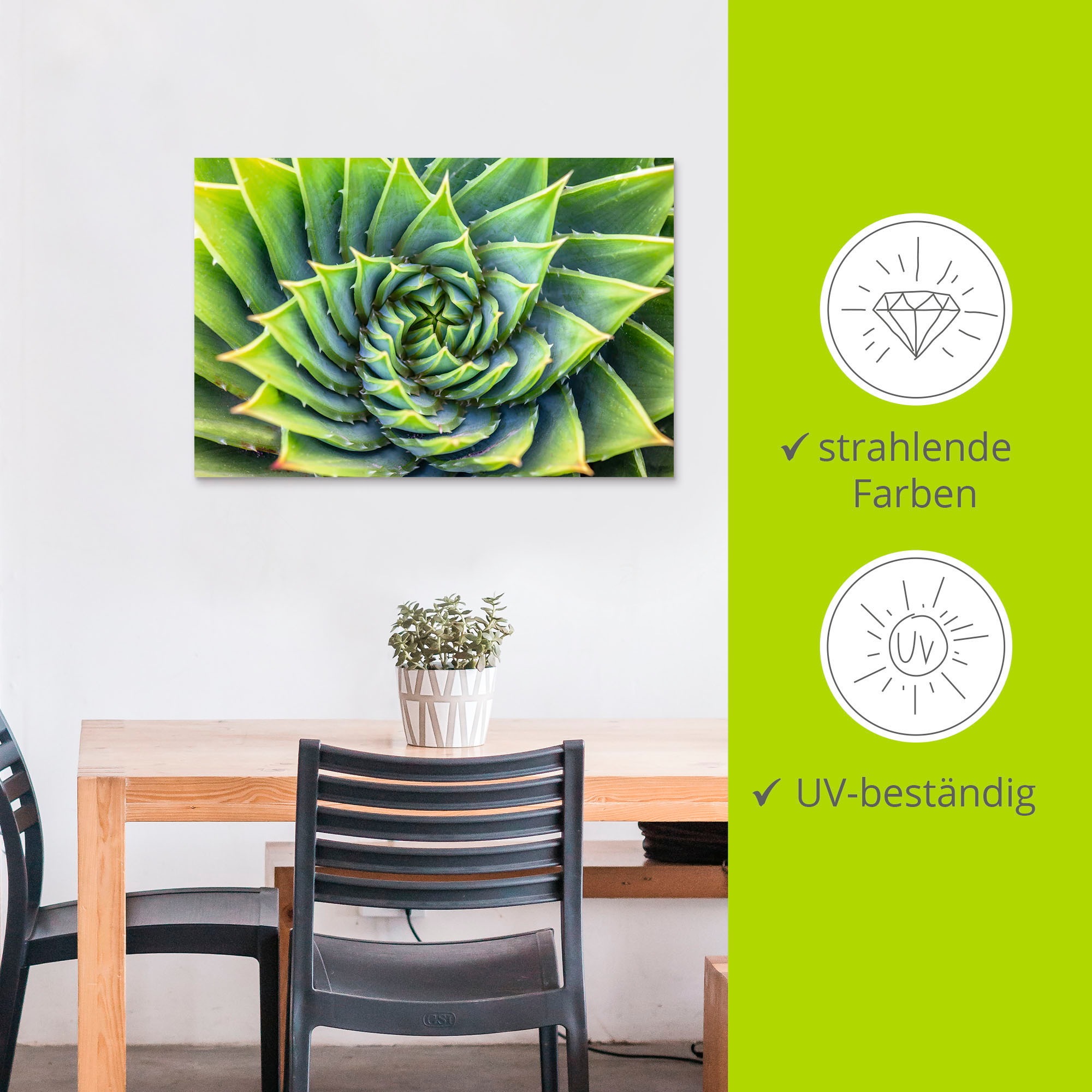 Artland Wandbild »Grüne Spirale«, Pflanzenbilder, (1 St.), als Alubild, Leinwandbild, Wandaufkleber oder Poster in versch. Größen