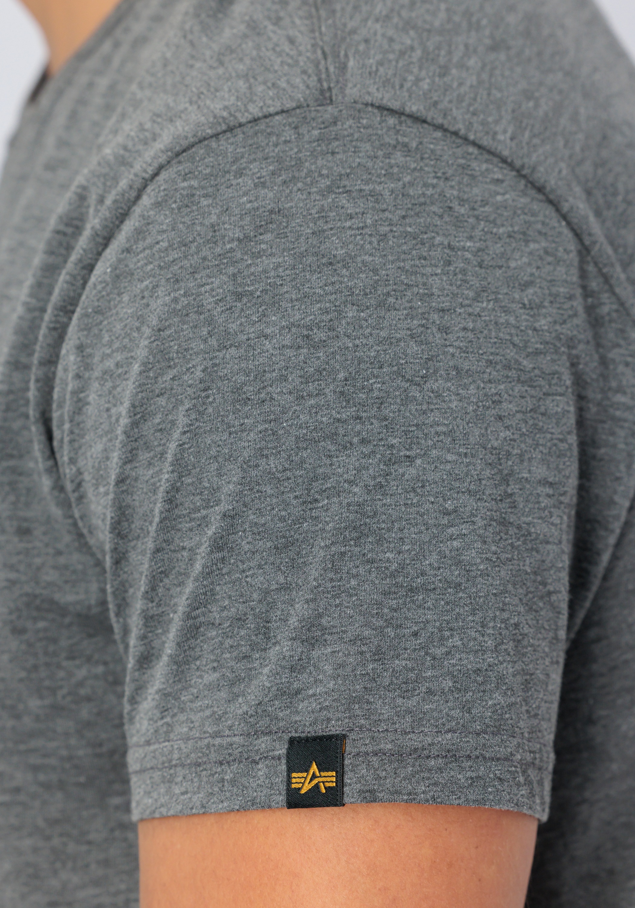 Alpha Industries T-Shirt »Basic T-Shirt BL«