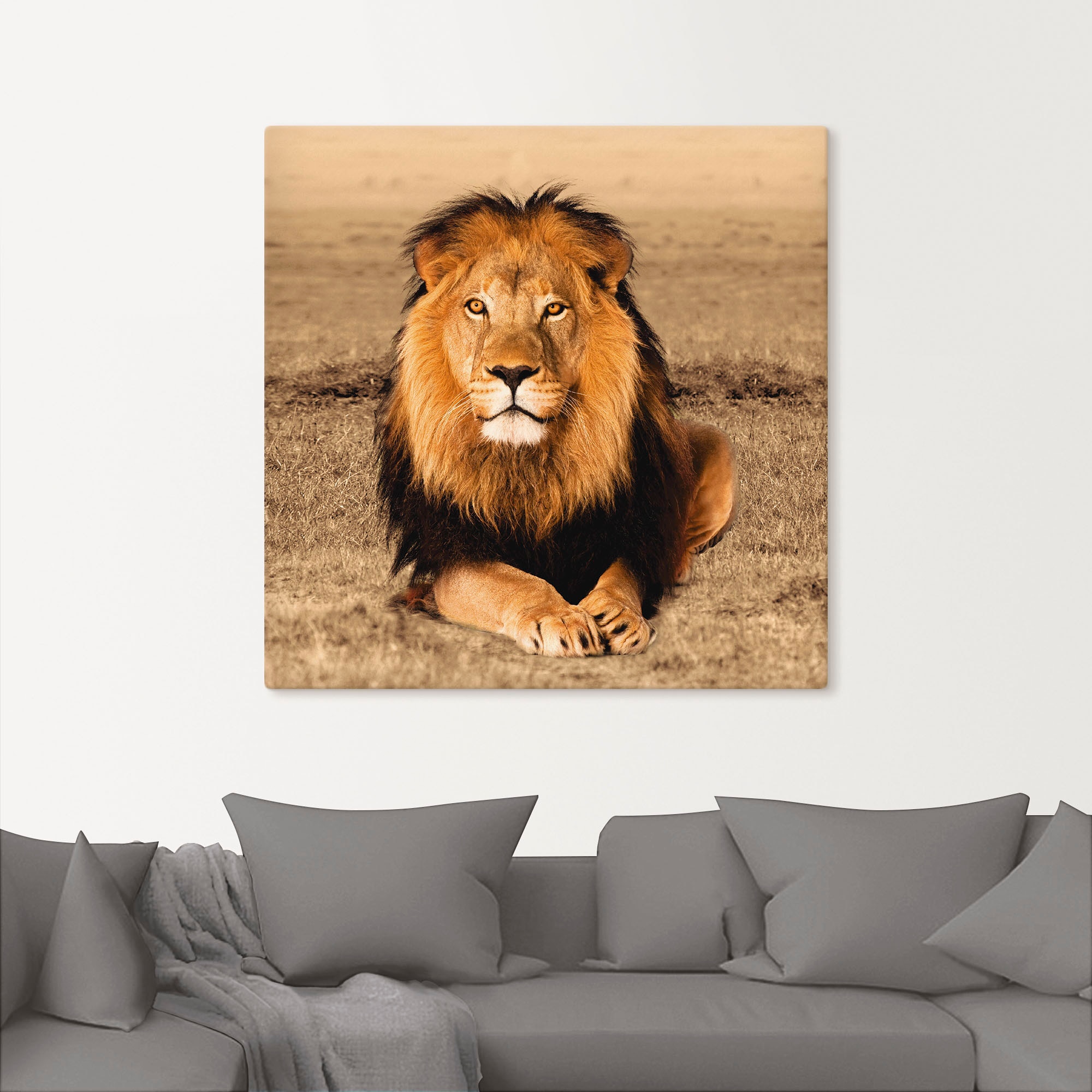 Artland Wandbild »Löwe«, Wildtiere, (1 St.), als Alubild, Outdoorbild, Leinwandbild, Poster, Wandaufkleber