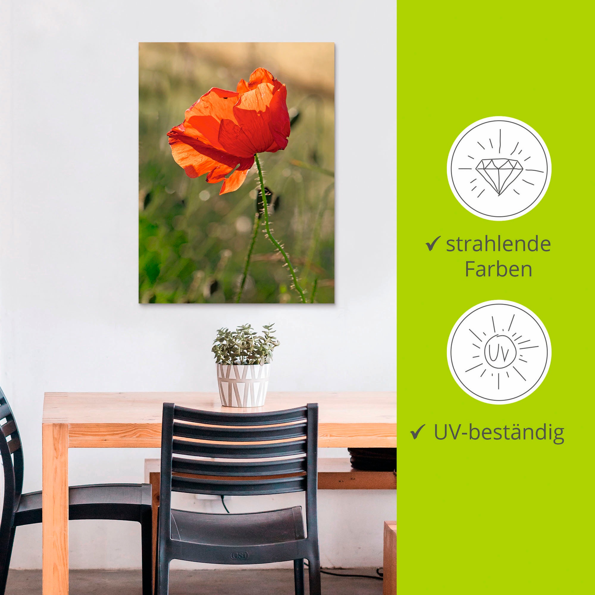 Artland Wandbild »Mohnblume«, Blumen, (1 St.), als Alubild, Outdoorbild in verschied. Größen