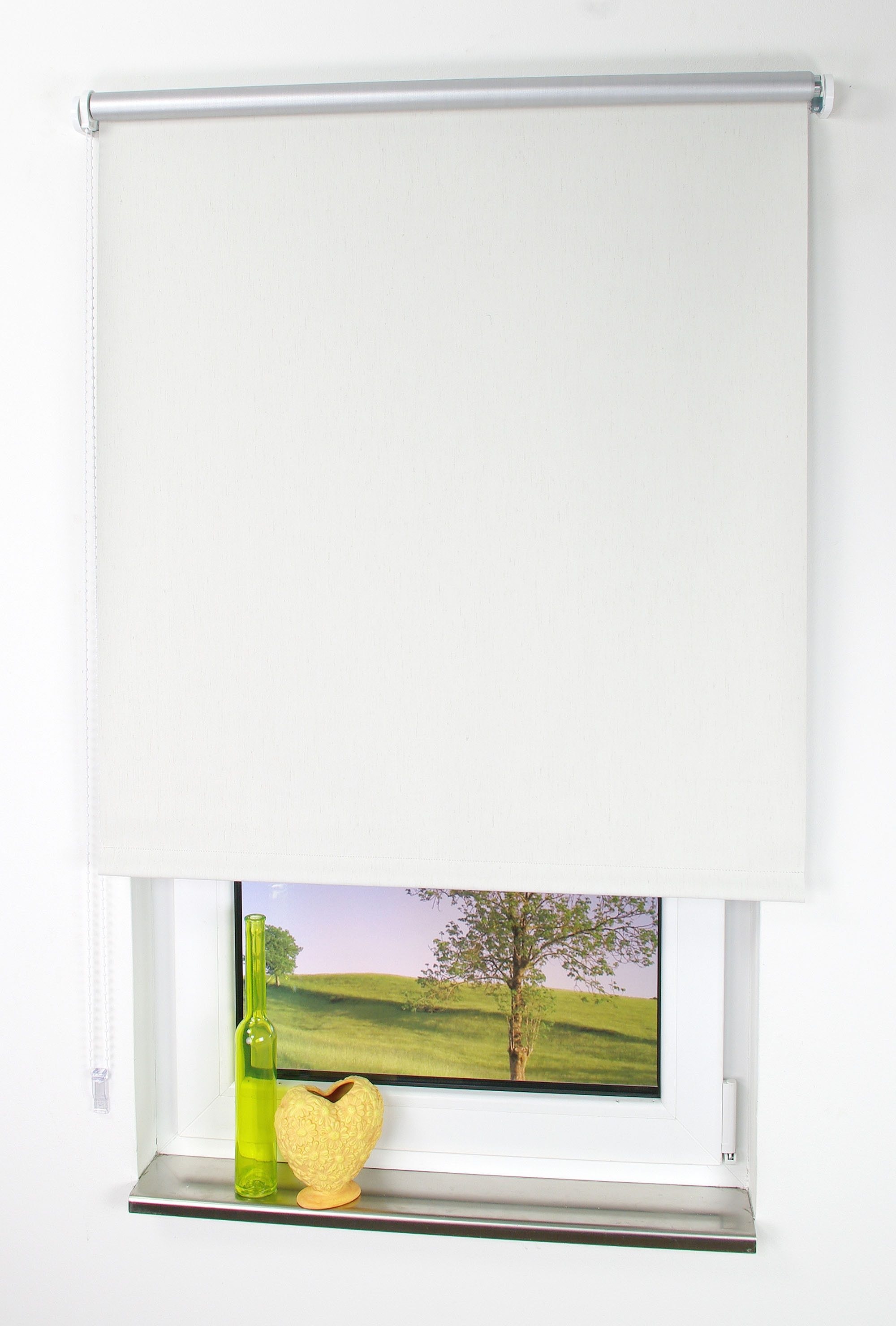 Liedeco Seitenzugrollo »Thermo-Rollo«, verdunkelnd, energiesparend