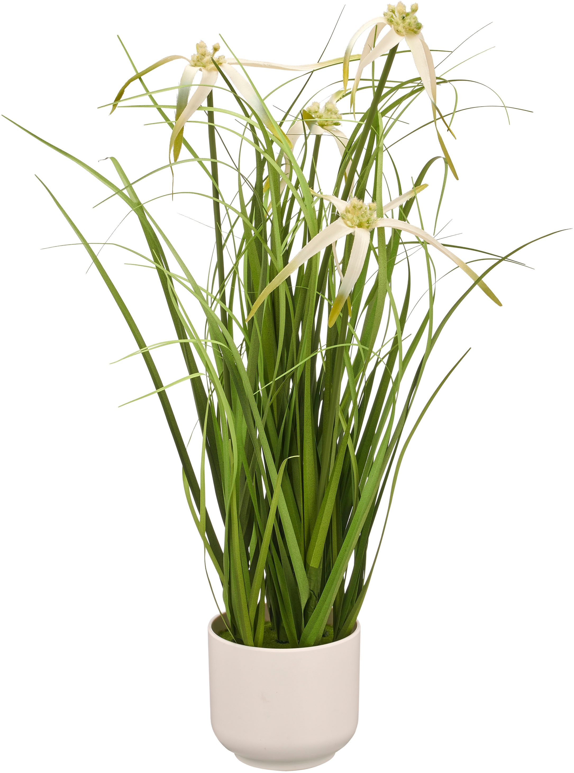 Creativ green Kunstgras »Grasbusch Sternsegge«, mit Blüten