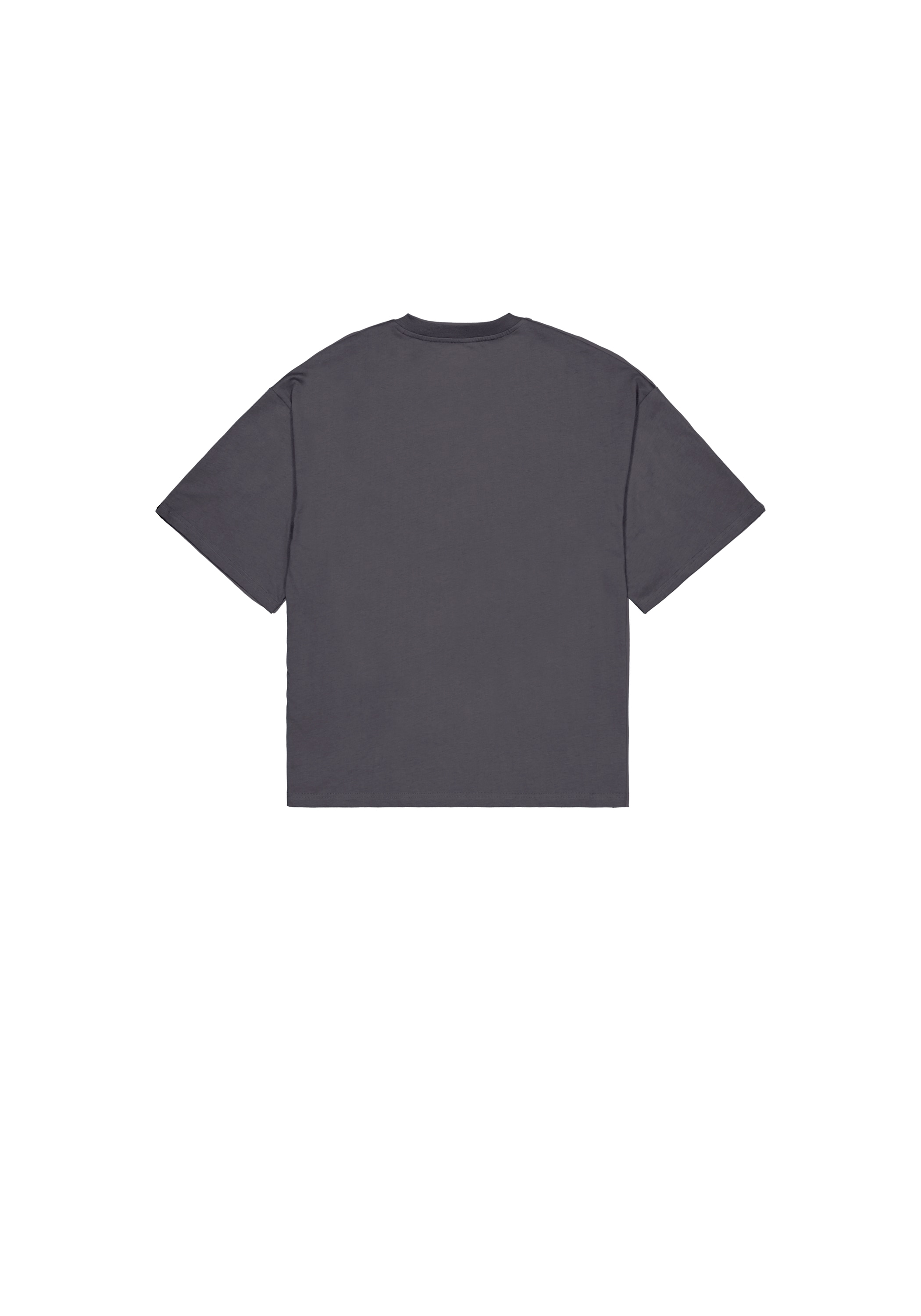 Alpha Industries T-Shirt »Flock Logo T-Shirt«