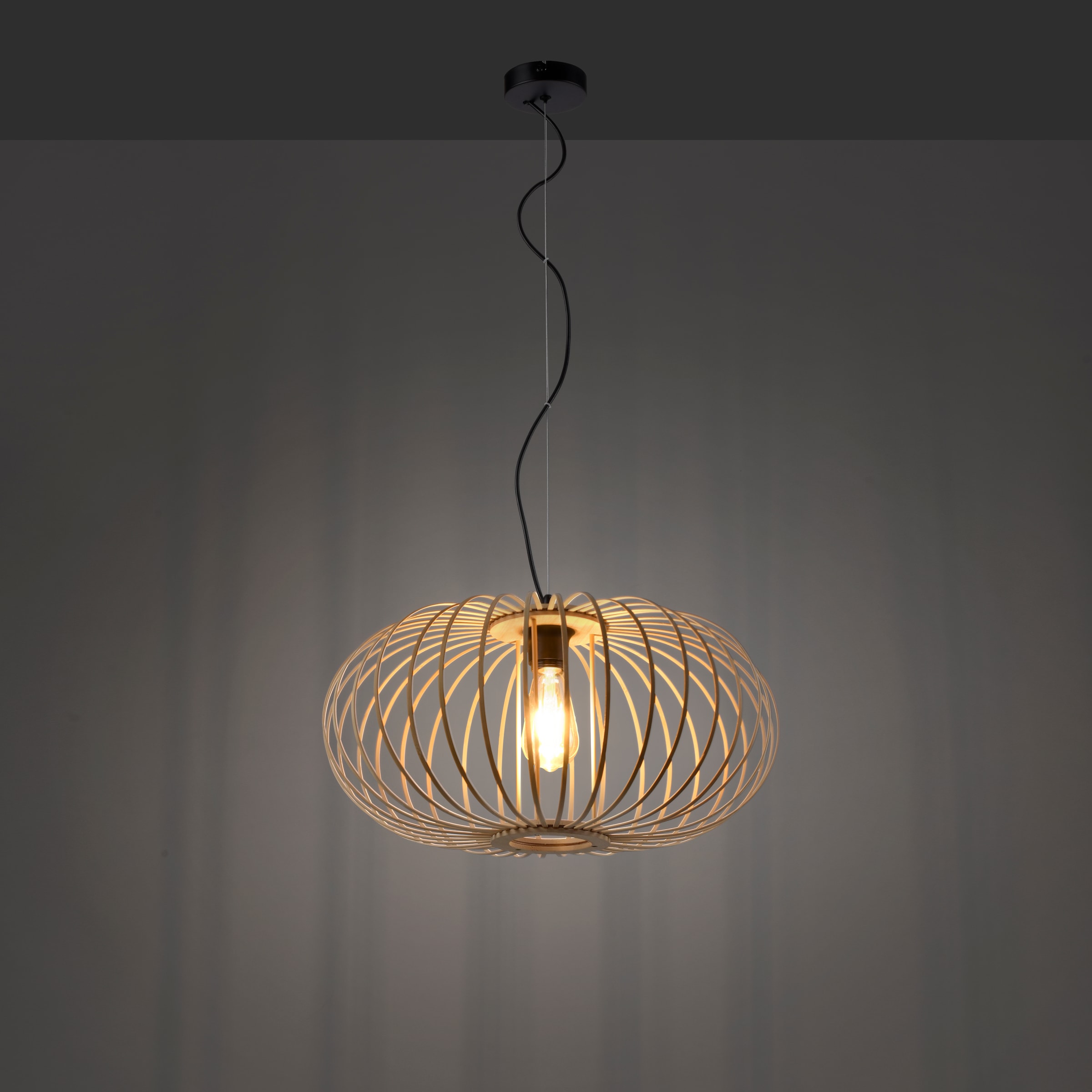 JUST LIGHT Pendelleuchte »RACOON«, 1 flammig, Leuchtmittel E27 | ohne Leuchtmittel, ExklusiveE27
