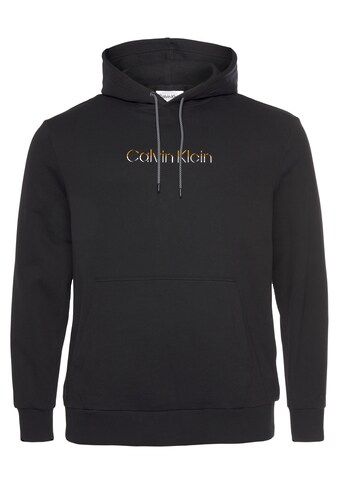 Calvin Klein Big&Tall Hoodie »BT-MULTI COLOR LOGO HOODIE« kaufen