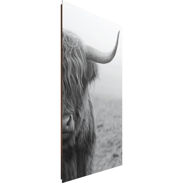 Reinders! Deco-Panel »Highlander Bulle« kaufen bei OTTO