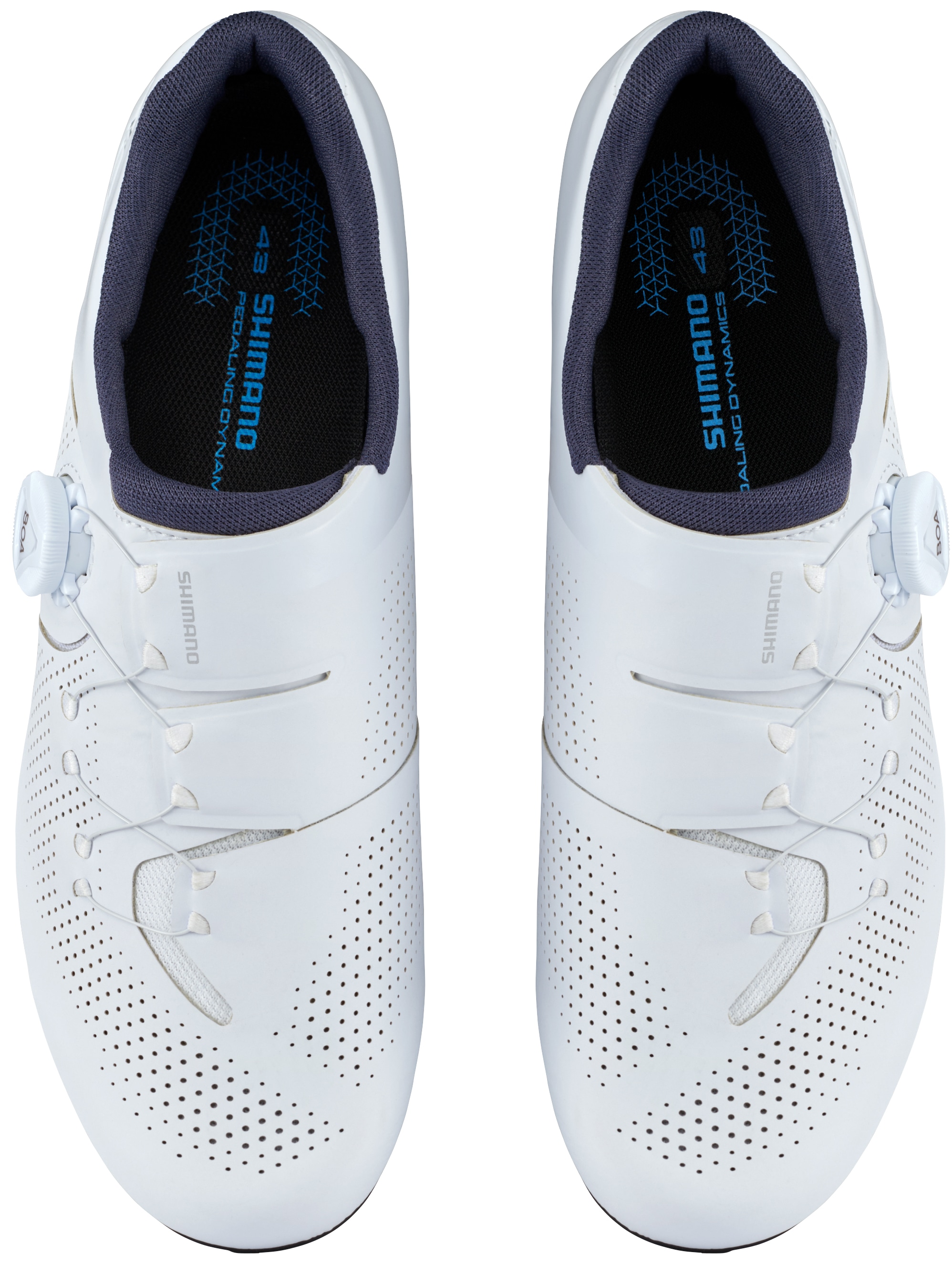 Shimano Fahrradschuh »Rennrad - Fahrradschuhe RC302 WIDE, white«