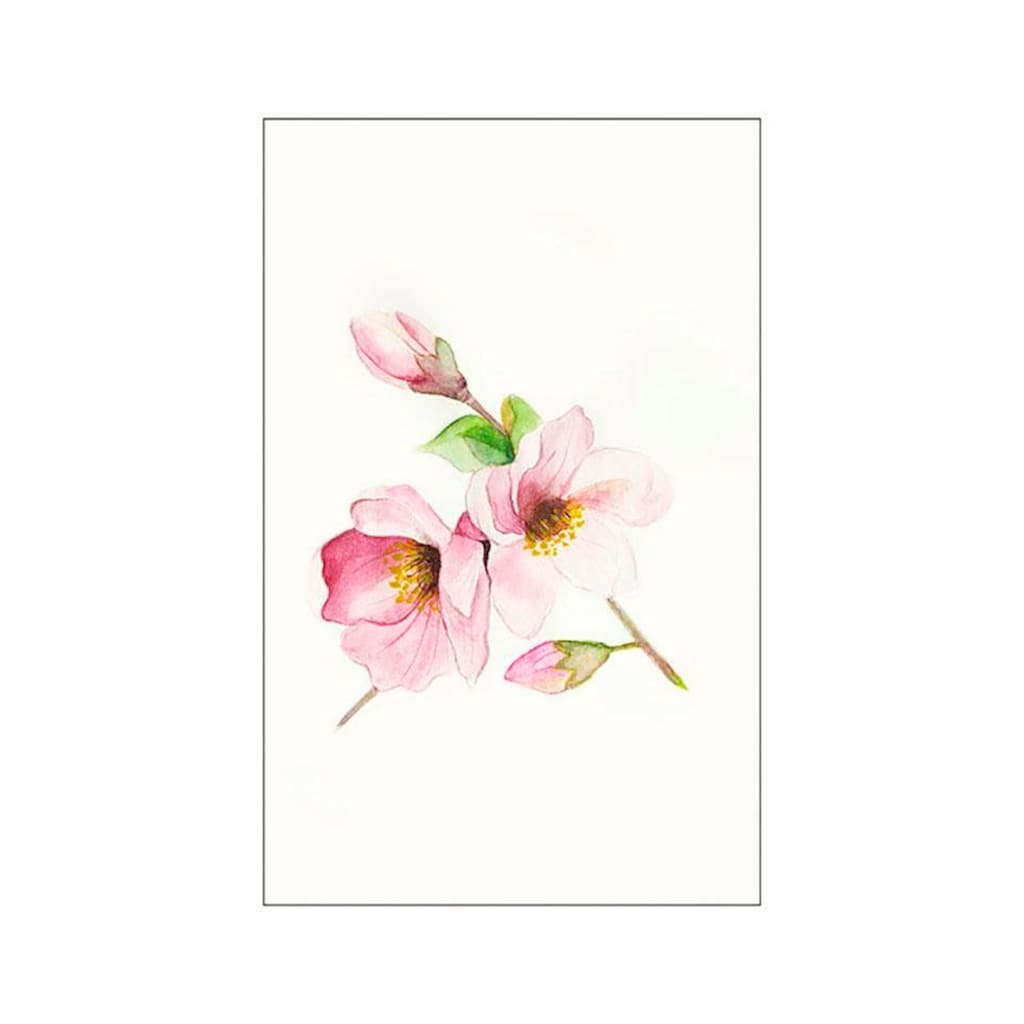 Komar Poster »Magnolia Breathe«, Blumen, (1 St.)