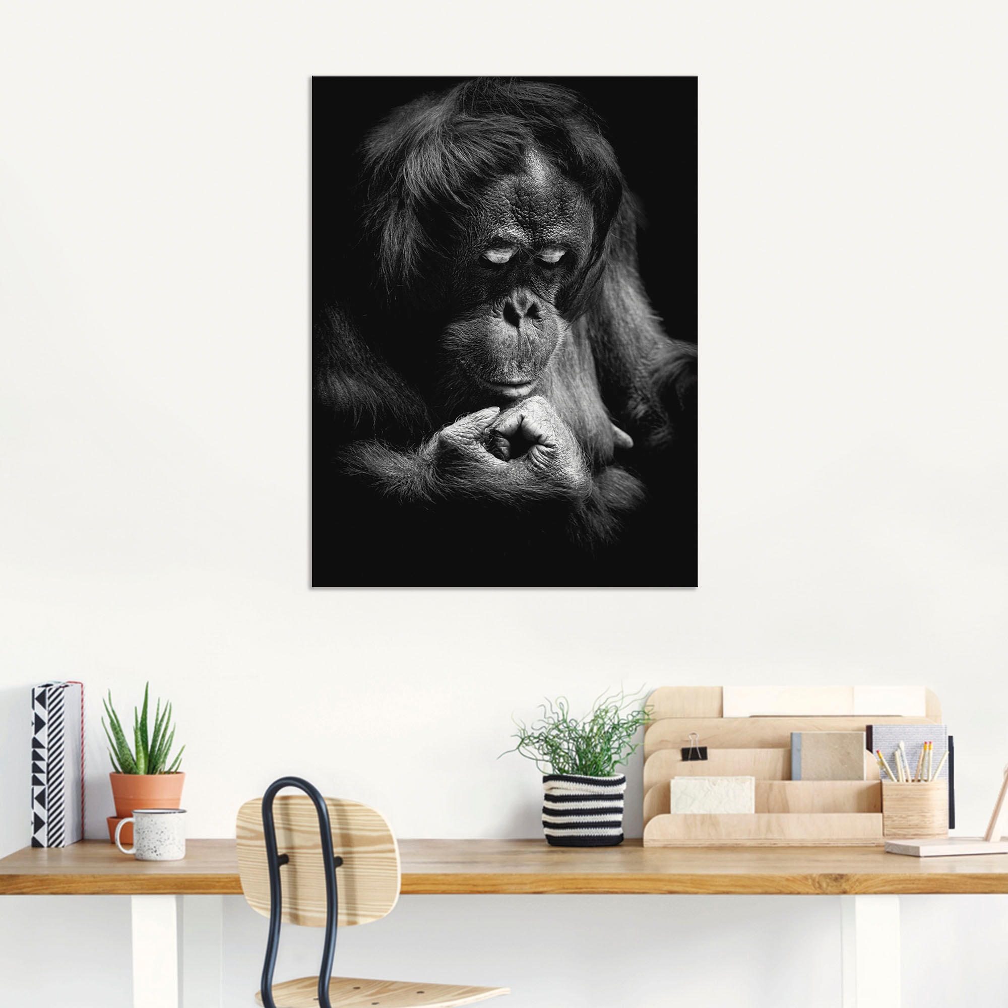 Artland Alu-Dibond-Druck »Orang Utan«, Affenbilder, (1 St.), für Innen- und Außenbereich geeignet, Outdoorbild