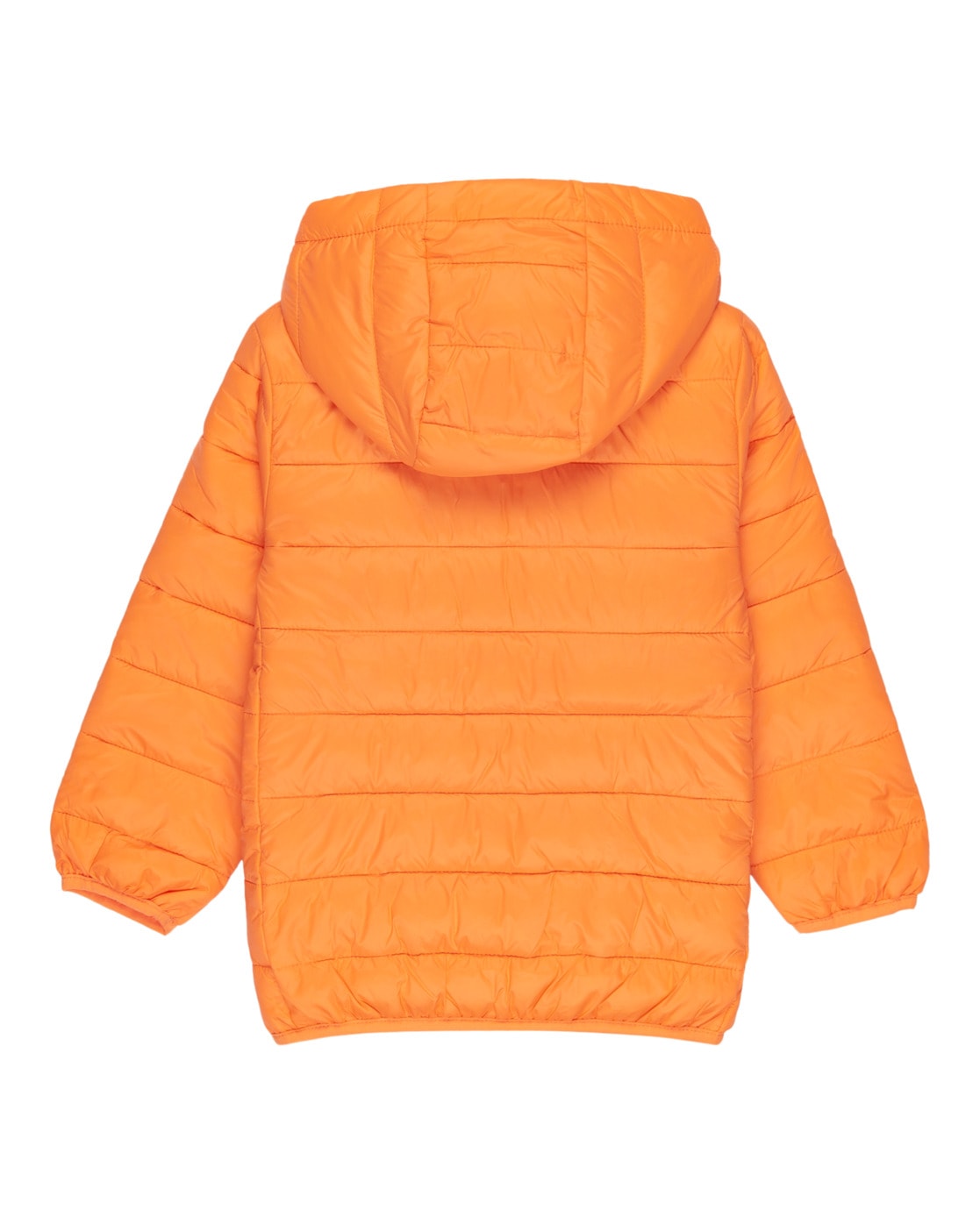 Quiksilver Funktionsjacke »Scaly«