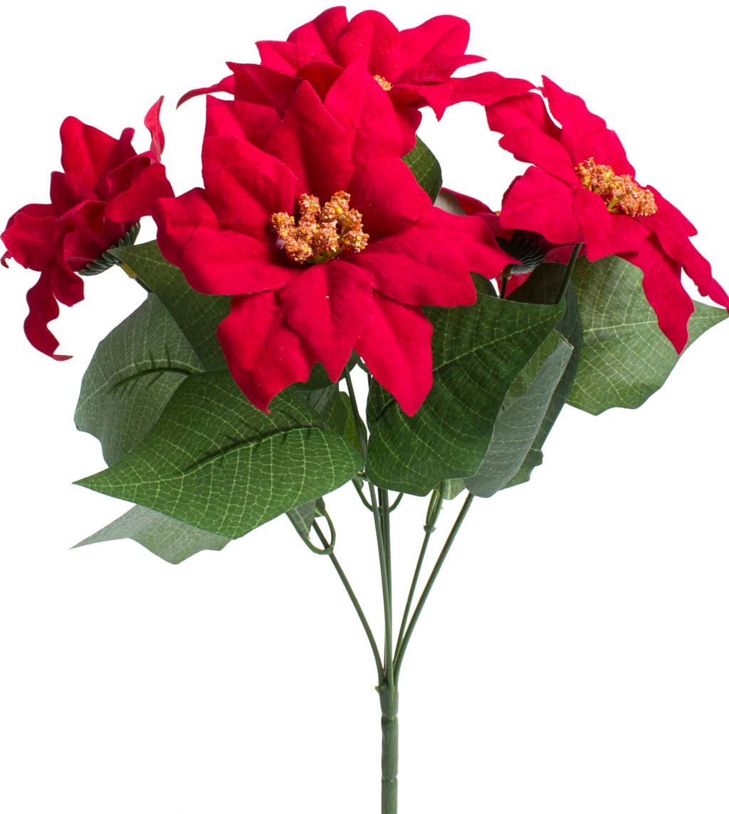 Botanic-Haus Kunstblume »Weihnachtsstern mit 6 Blüten«, (1 St.) online bei  OTTO