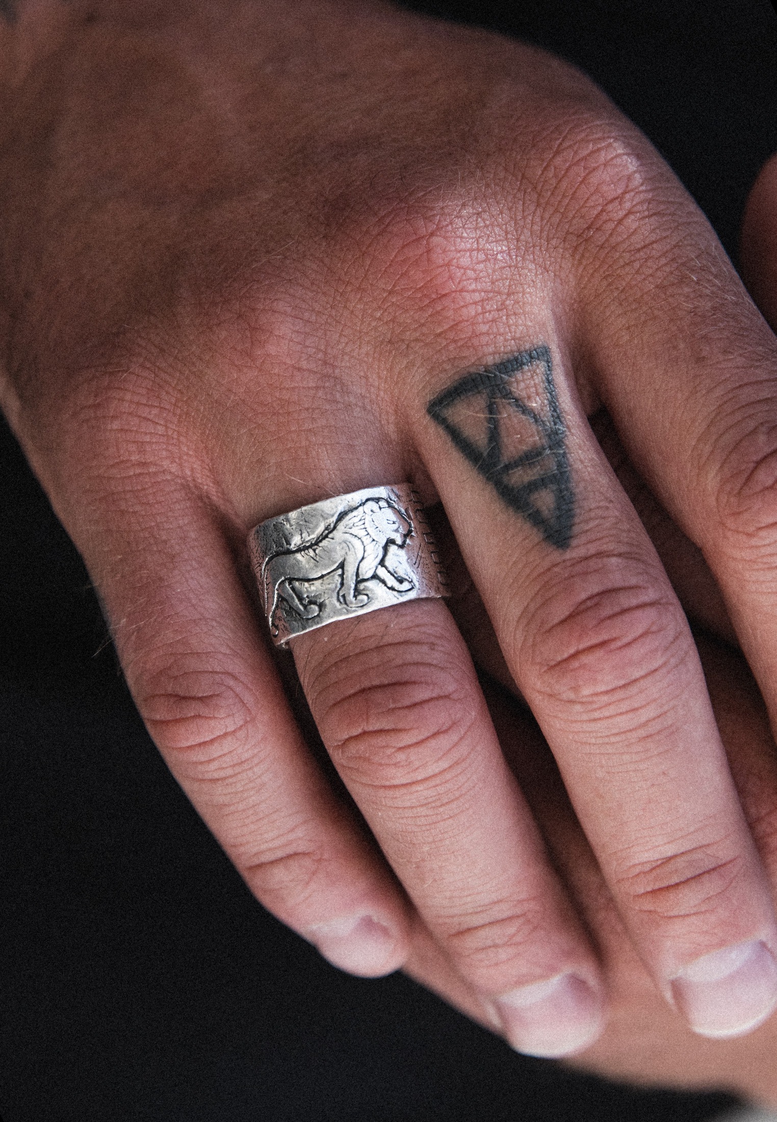 HAZE & GLORY Siegelring »Ring Bandring - Lions Eye 925 Silber«