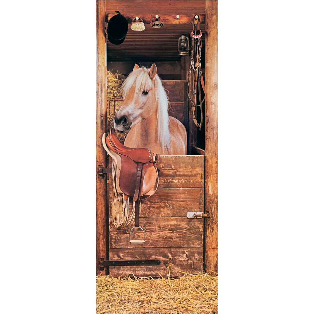 Papermoon Fototapete »Horse in Stable - Türtapete«, matt