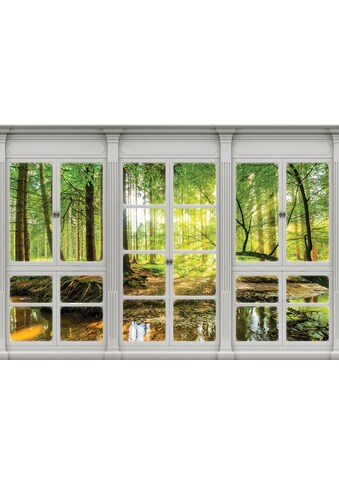 Consalnet Vliestapete »Sonnenwald Fensterblick«, verschiedene Motivgrößen, für das... kaufen