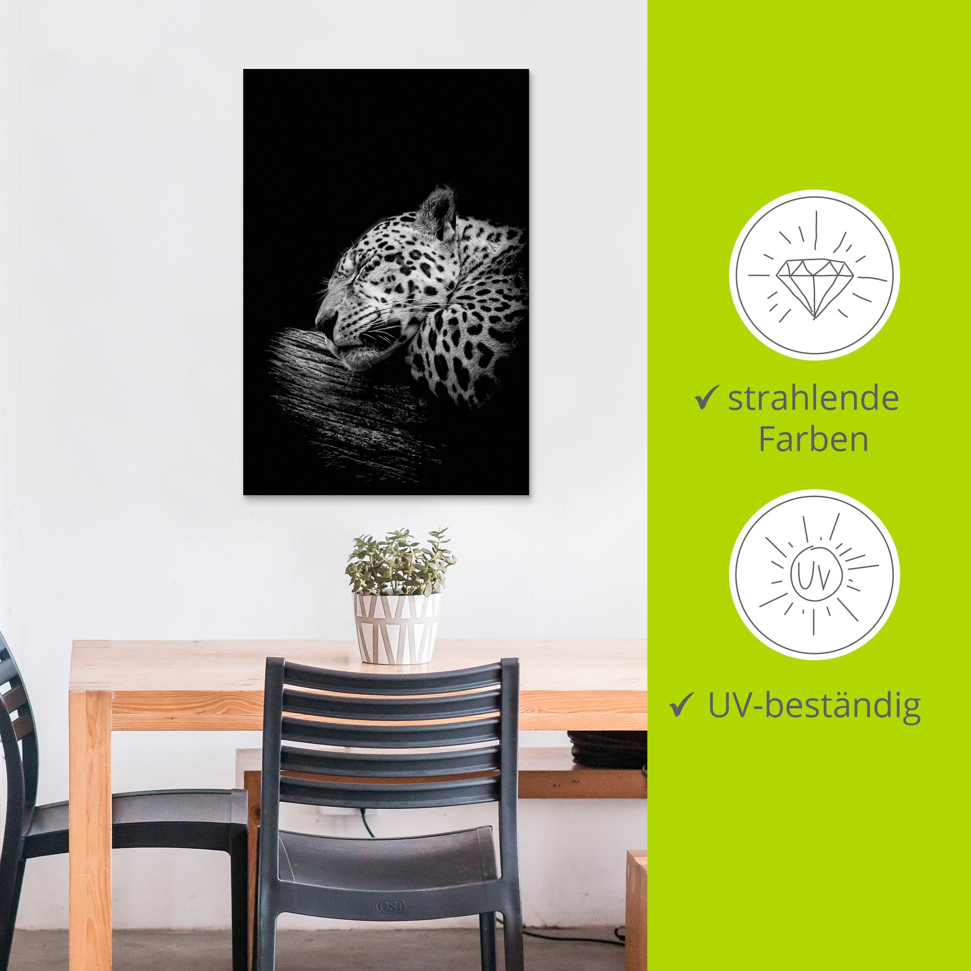 Artland Wandbild »Der schlafende Jaguar«, Wildtiere, (1 St.), als Alubild, Outdoorbild, Leinwandbild, Poster in verschied. Größen