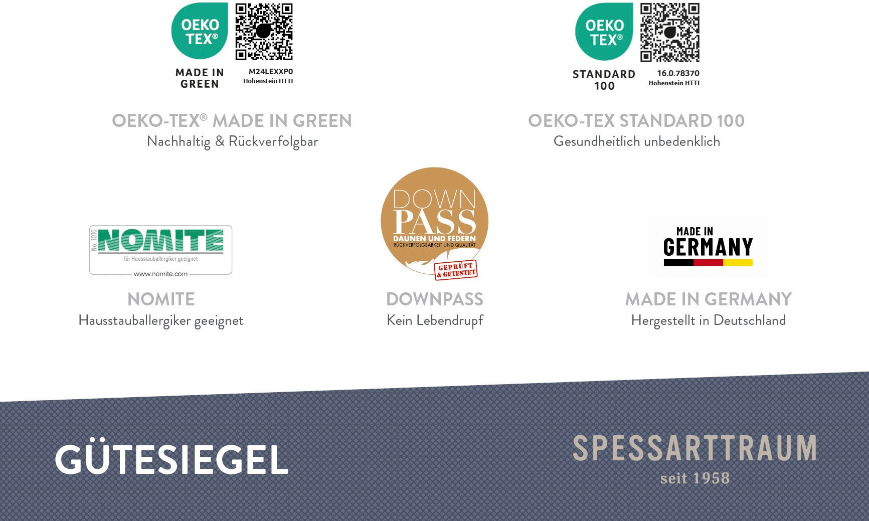 SPESSARTTRAUM Gänsedaunenbettdecke »Premium****, hergestellt in Deutschland«, Füllung 100% Gänsedaunen, Klasse 1, Downpass zertifiziert, Bezug 100% Baumwolle, nachhaltig (Made in Green), Hausstauballergiker geeignet, (1 St.)