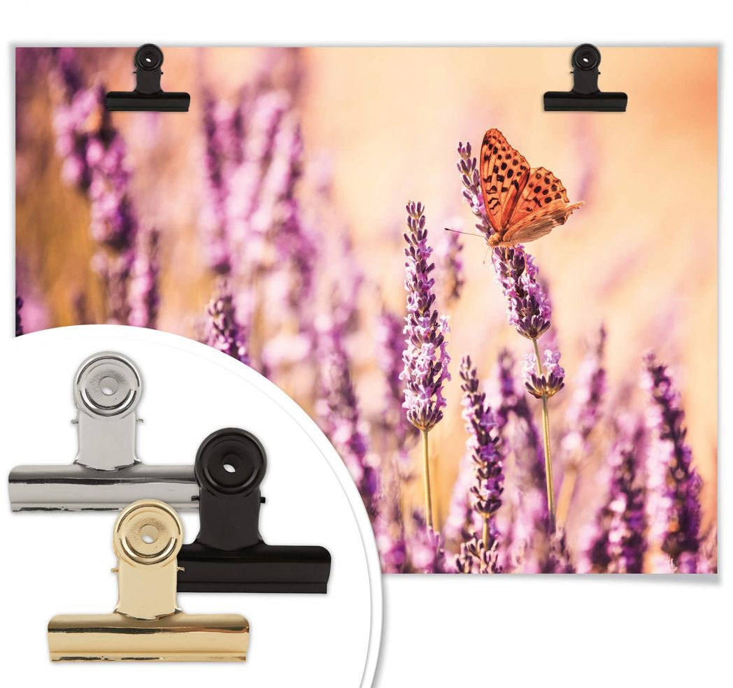 Wall-Art Poster »Schmetterling Lavendel«, Schmetterlinge, (Set, 1 St.), Poster ohne Bilderrahmen